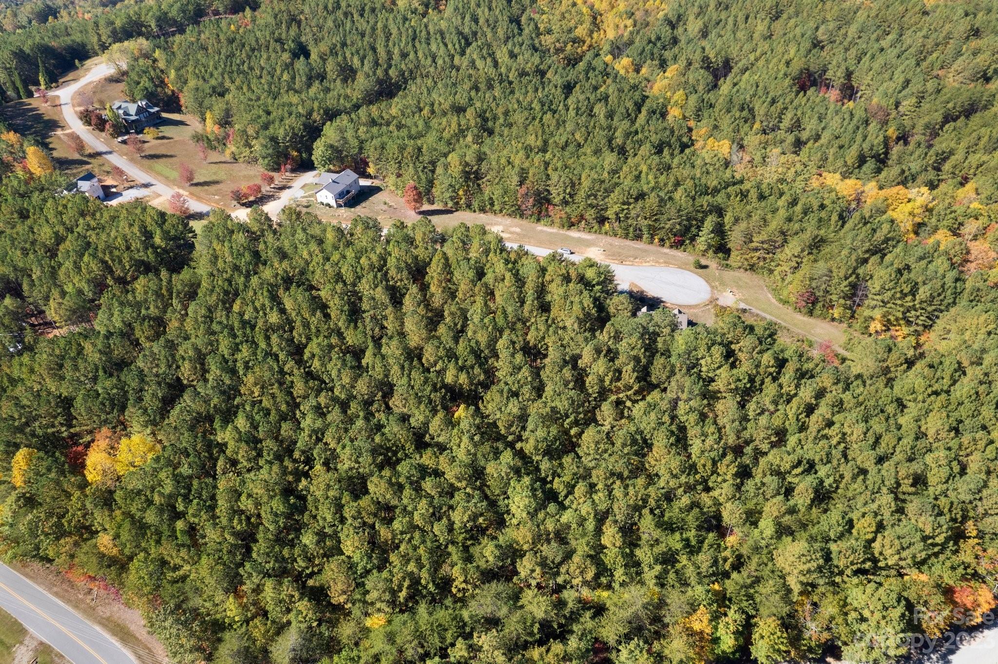 0 Palisade Drive, Unit 26 Rutherfordton, NC 28139 - Photo 3 of 8 a view of a forest with a tree