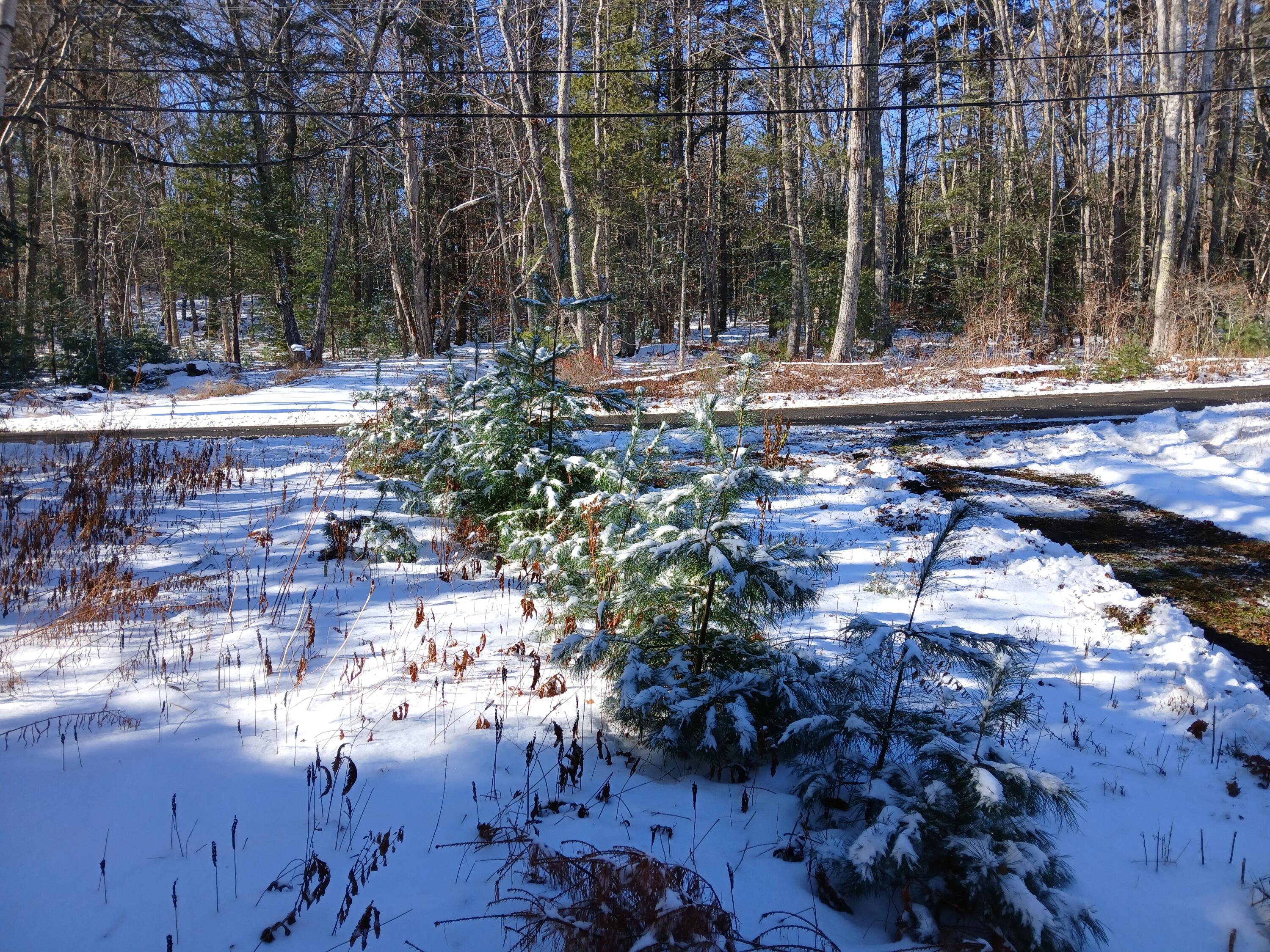 28 Bay Point Road Georgetown, ME 04548 - Photo 5 of 25 20251203_114415