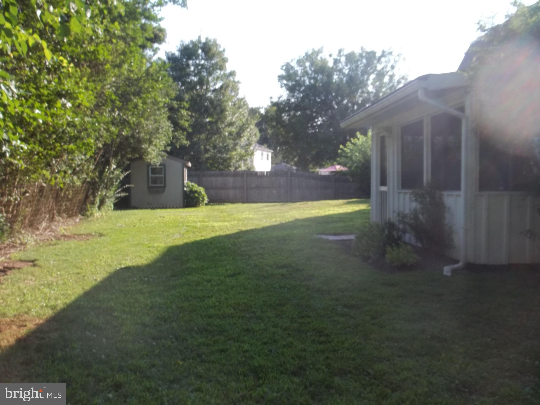 5 Broadale Road Doylestown, PA 18901 - Photo 6 of 27 a view of yard with tree