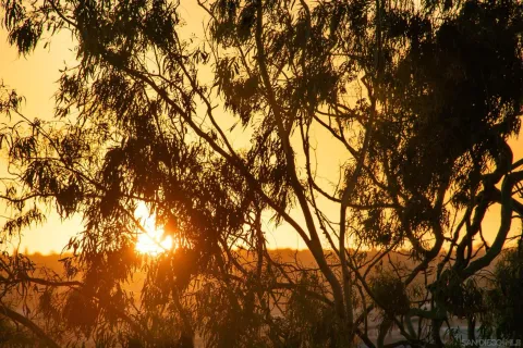 $1,275,000 | 3033 India Street, Unit 6, San Diego, CA 92103