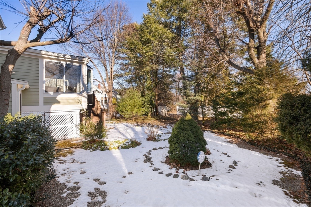 512 Appleton Street Arlington, MA 02476 - Photo 35 of 42 a view of a yard with plants and trees
