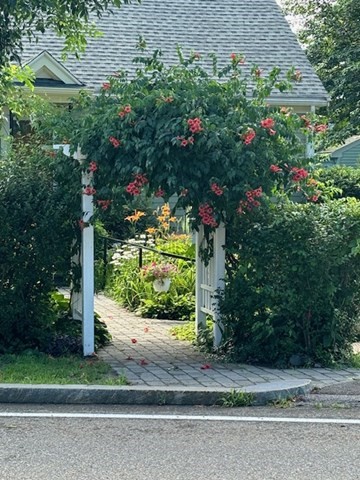 512 Appleton Street Arlington, MA 02476 - Photo 37 of 42 a front view of a house with a yard and potted plants