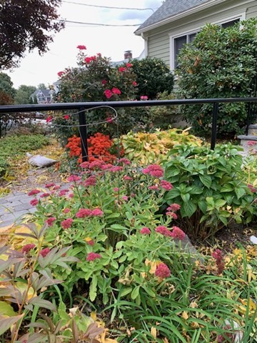 512 Appleton Street Arlington, MA 02476 - Photo 39 of 42 a view of a lake with a flower garden