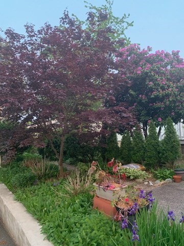 512 Appleton Street Arlington, MA 02476 - Photo 41 of 42 a view of a house with a yard