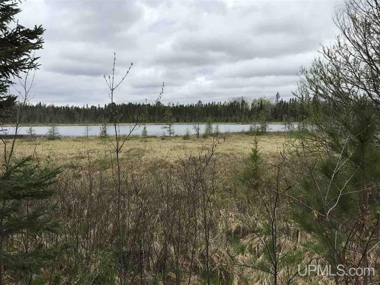 40-ac Kelso Road Crystal Falls, MI 49920 - Photo 1 of 21