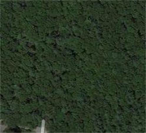 0 Simon Hill Road Norwell, MA 02061 - Photo 1 of 1 Gallery Image 1