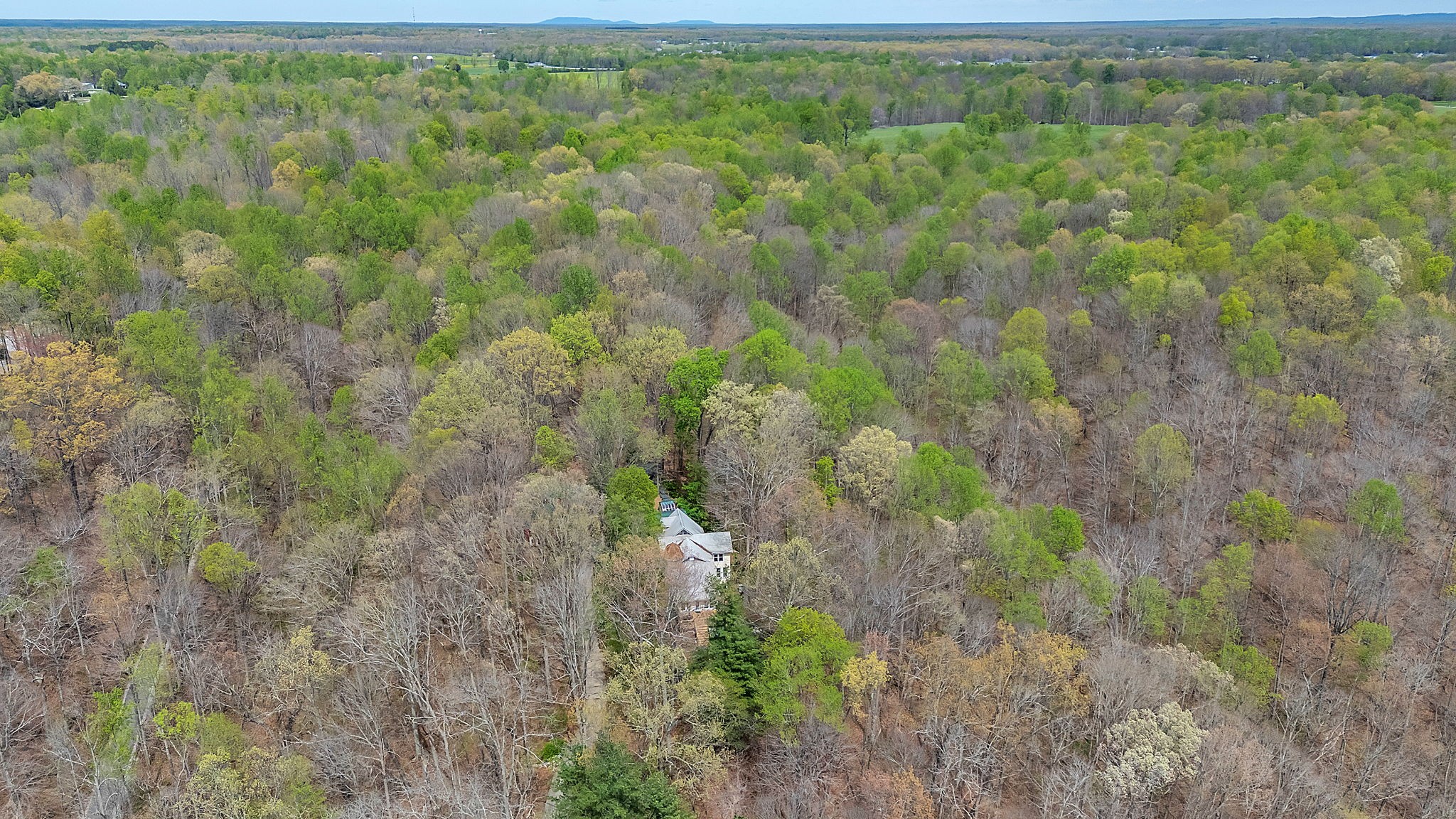 1650 Cathey Ridge Road Manchester, TN 37355 - Photo 18 of 80