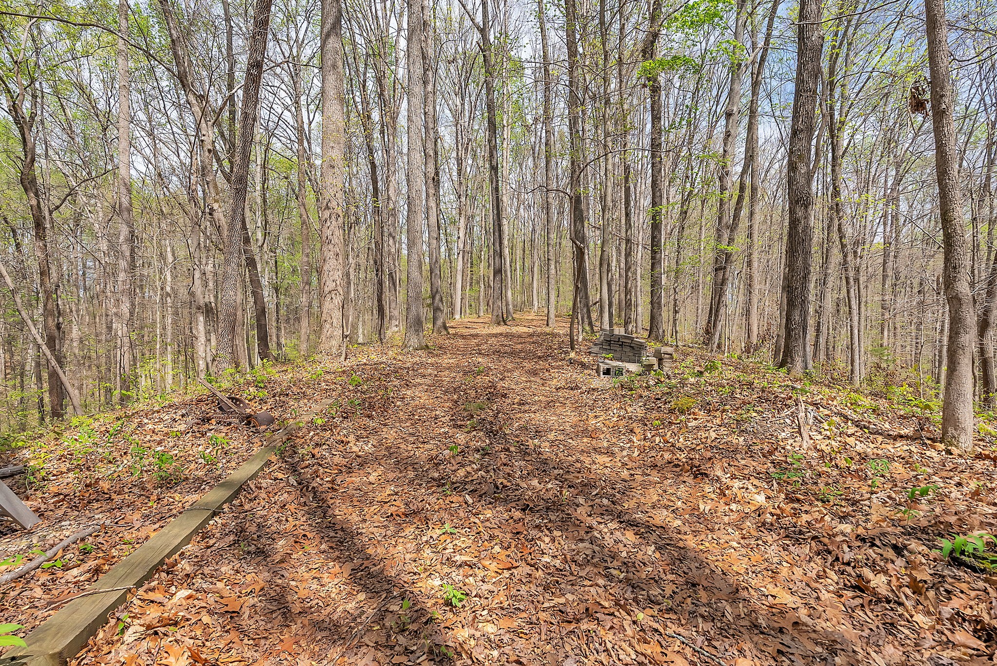 1650 Cathey Ridge Road Manchester, TN 37355 - Photo 66 of 80