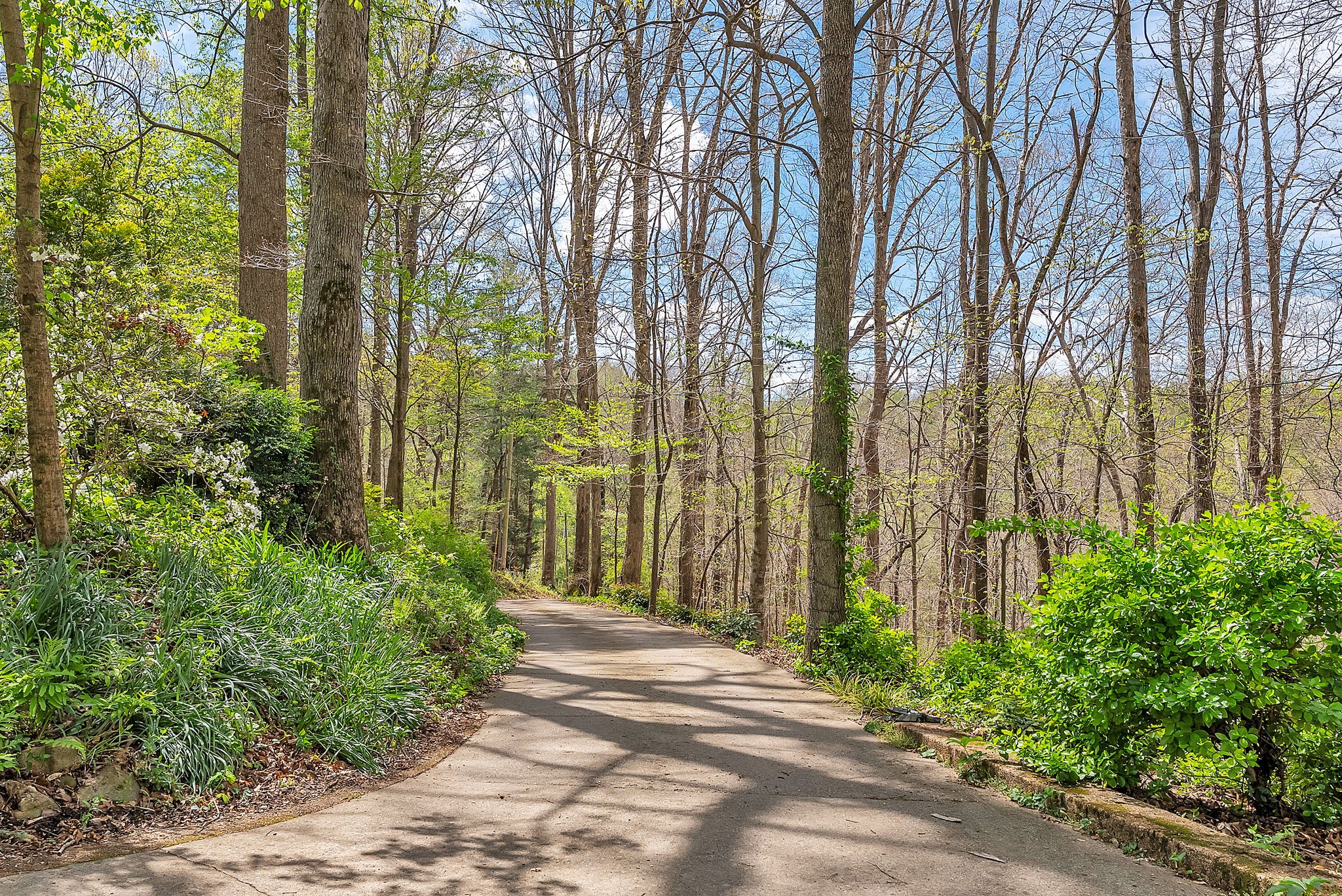 1650 Cathey Ridge Road Manchester, TN 37355 - Photo 74 of 80