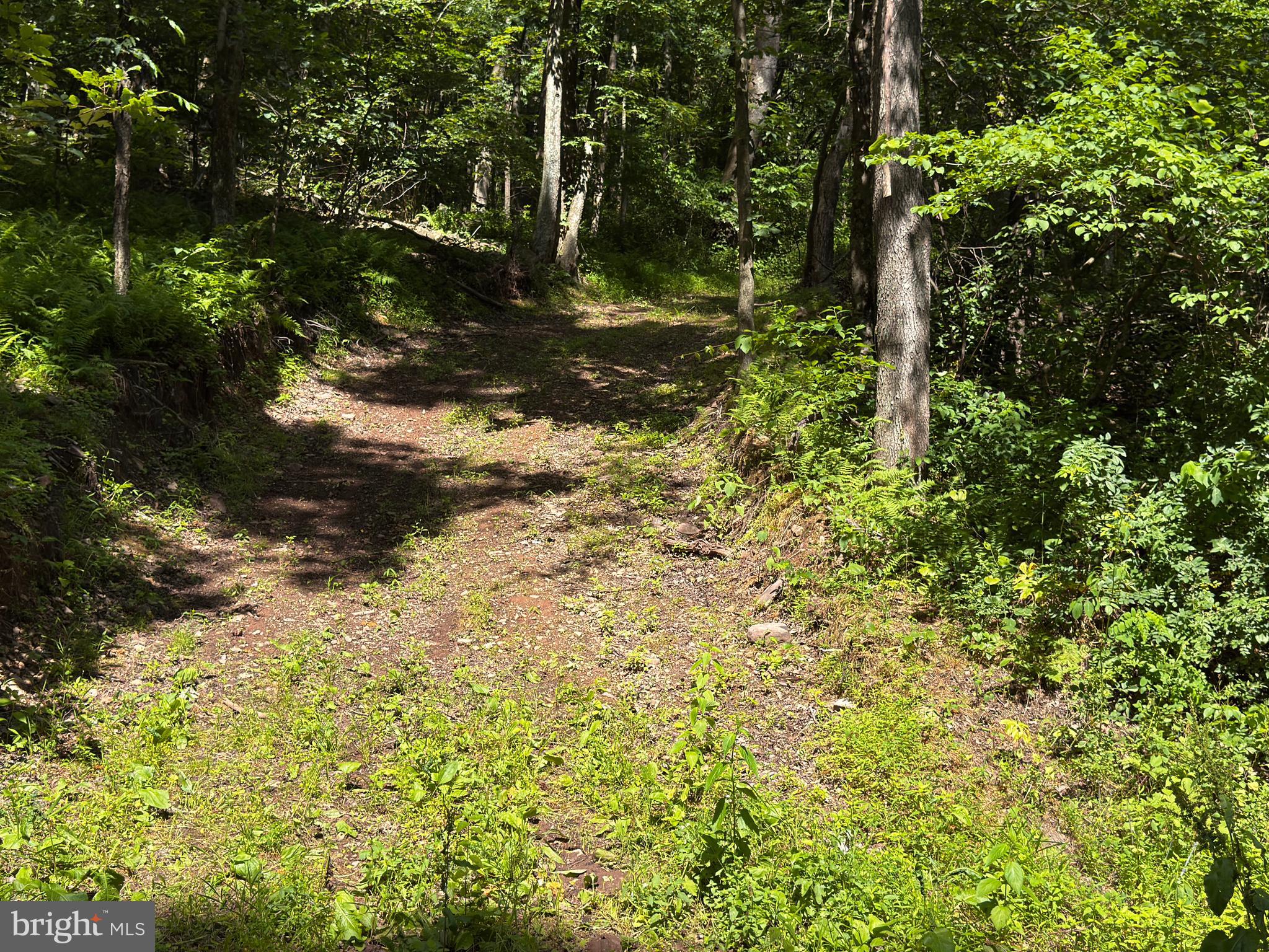 281 Whetstone Run Julian, PA 16844 - Photo 11 of 33