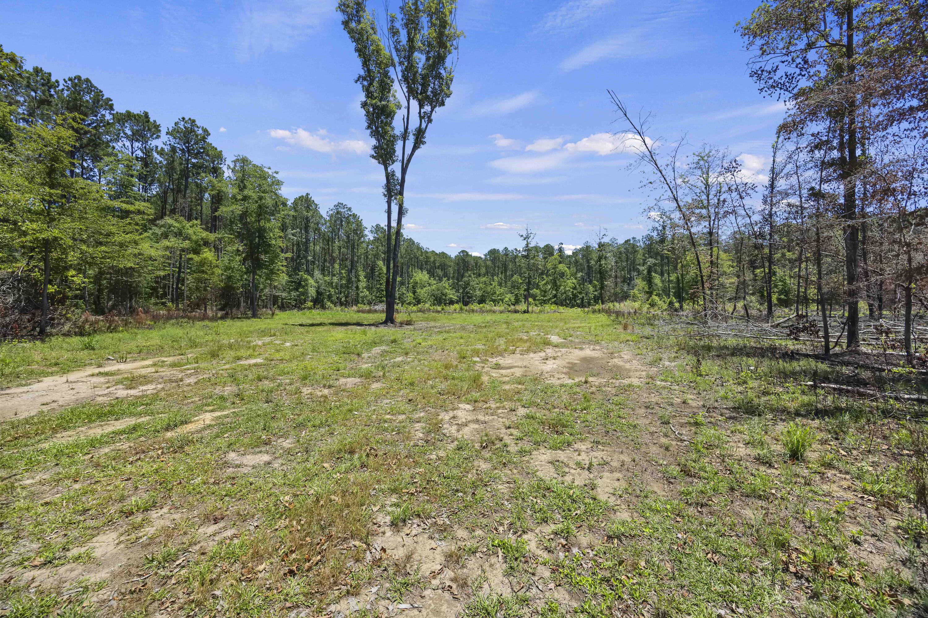 543 Campbell Road Ridgeville, SC 29472 - Photo 37 of 50 CHS_2770