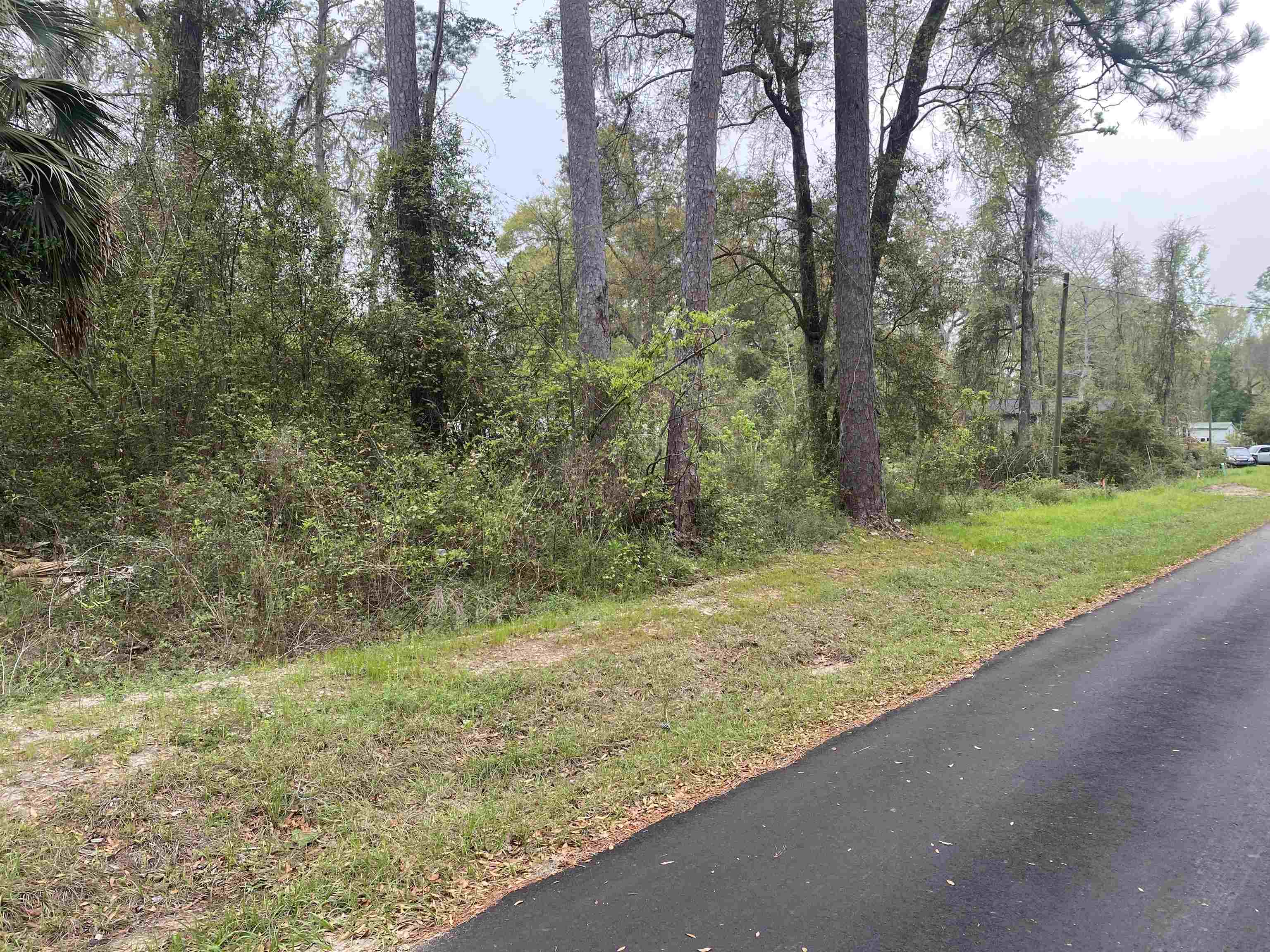 24 Maxson Road Crawfordville, FL 32327 - Photo 1 of 9 Gallery Image 1