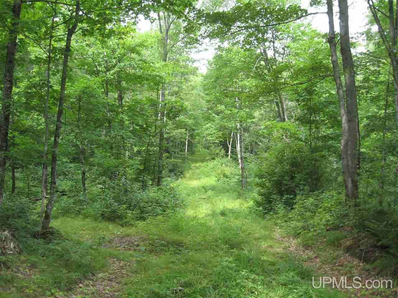 0 Rhody Cr, Unit CARTER LAKE RDP Seney, MI 49883 - Photo 9 of 36