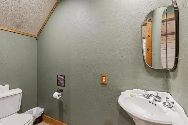 a bathroom with a sink mirror and toilet