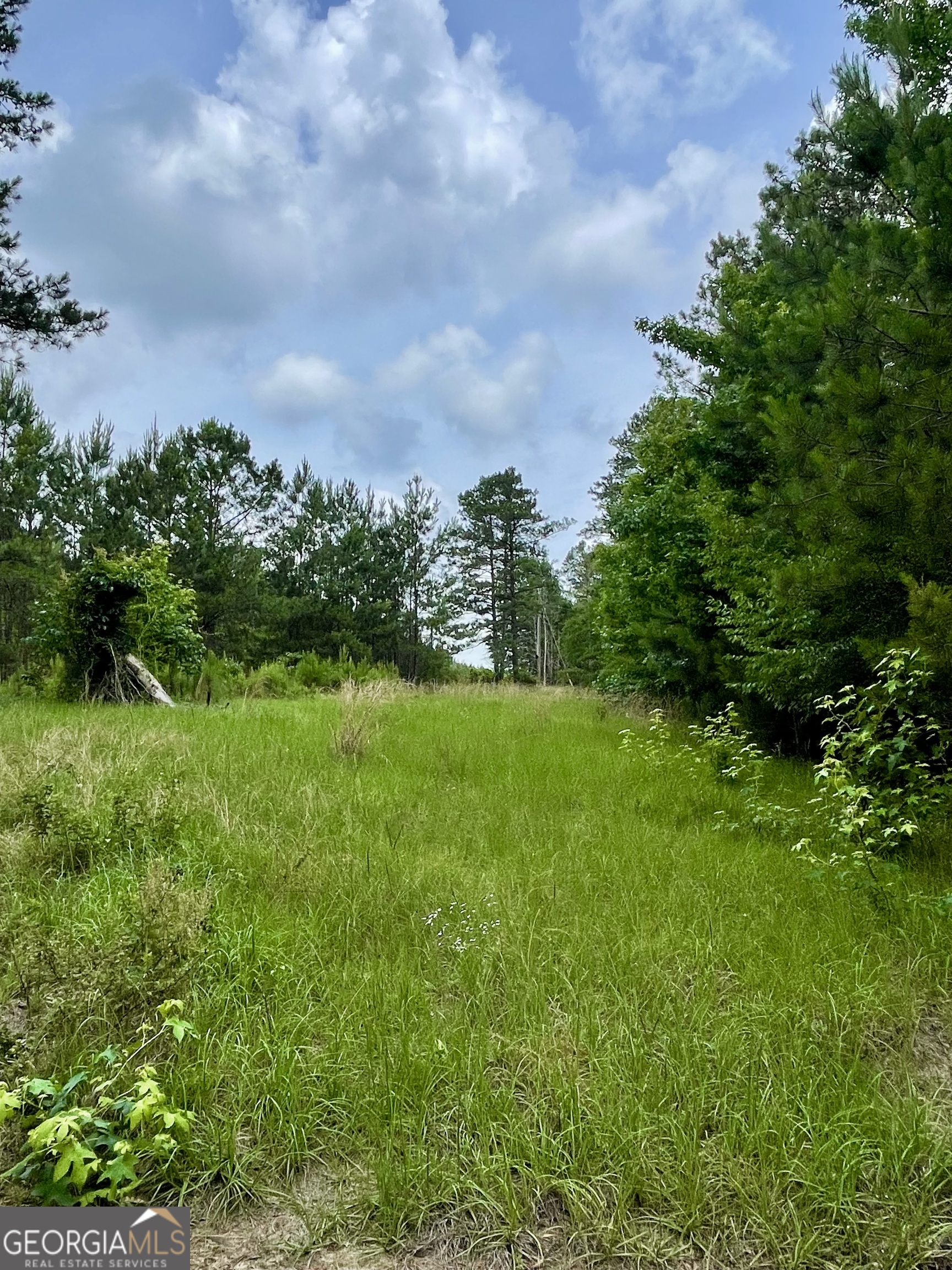 540 Allgood Road Irwinton, GA 31042 - Photo 21 of 22