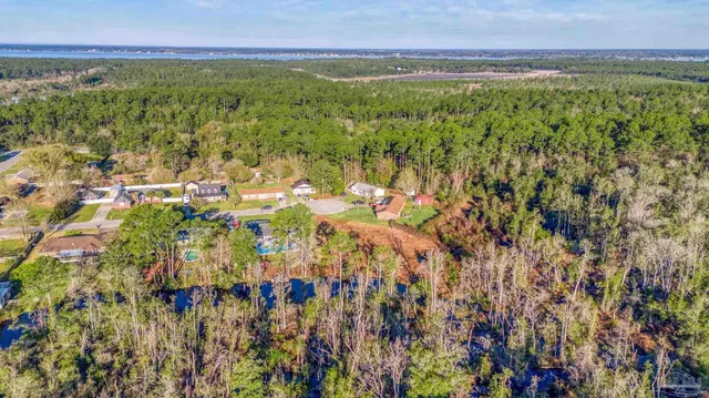 a view of a city with lush green forest
