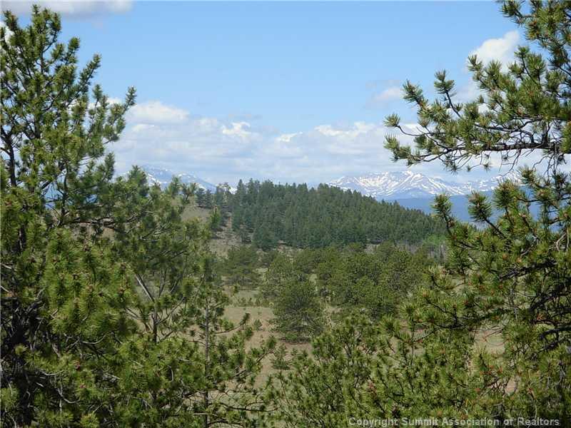 754 Running Bear Road Hartsel, CO 80449 - Photo 22 of 25 Gallery Image 22