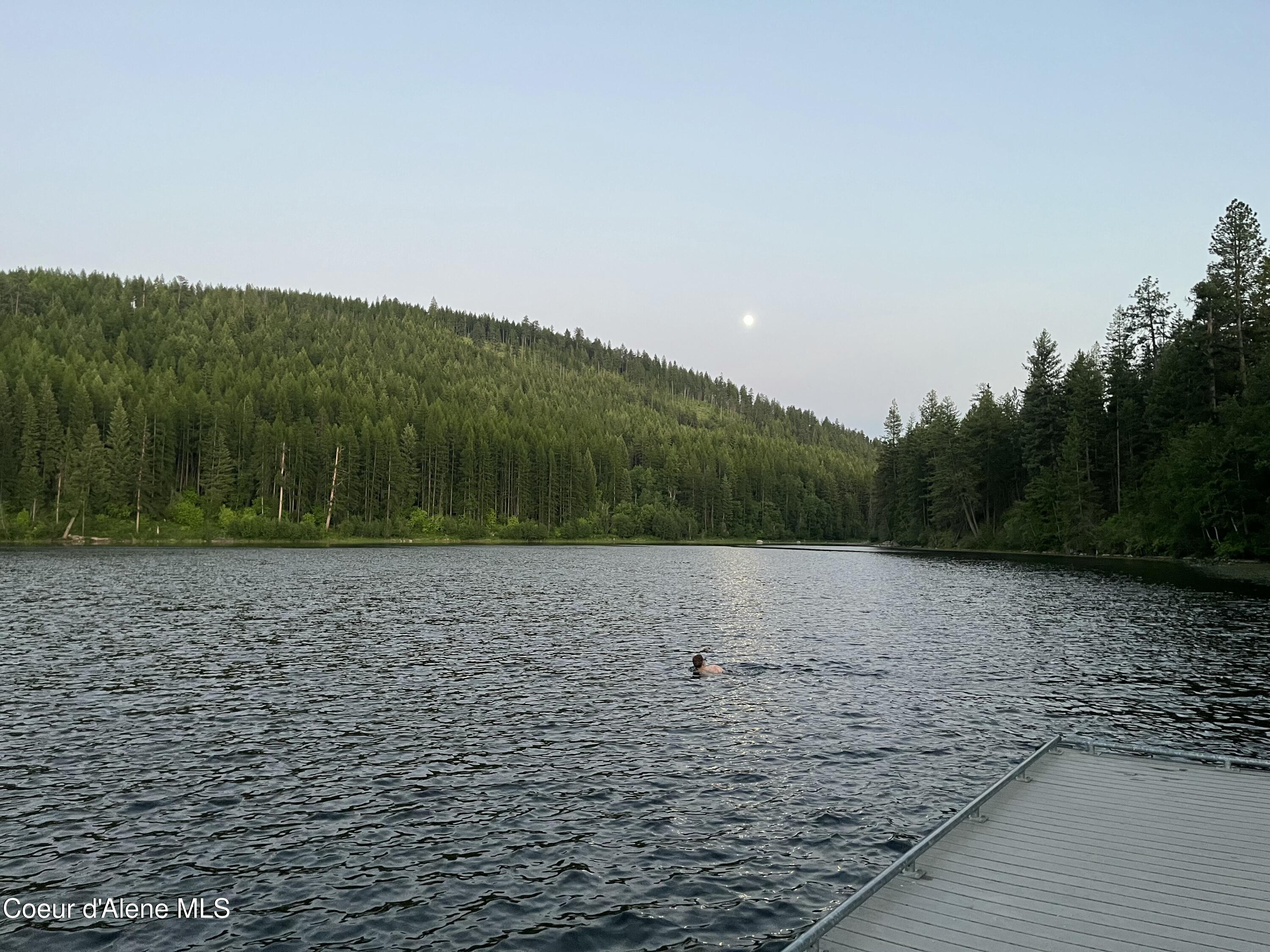 Nka Birdpoint Road Bonners Ferry, ID 83805 - Photo 24 of 29 Evening Swim