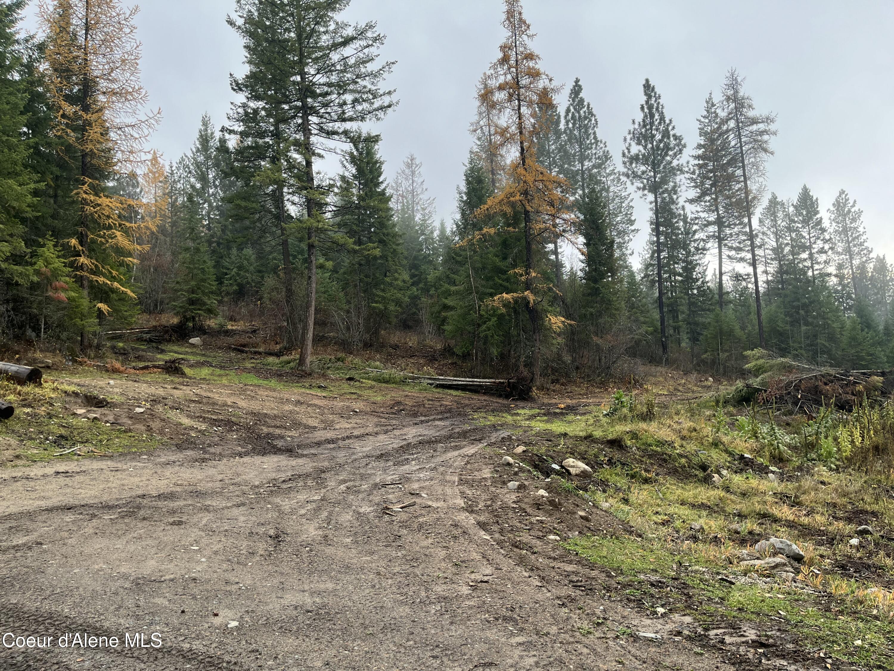 Nka Birdpoint Road Bonners Ferry, ID 83805 - Photo 7 of 29 Lower Pad Tract 4