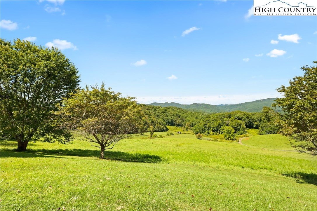 840 Ed Williams Road Vilas, NC 28692 - Photo 17 of 50