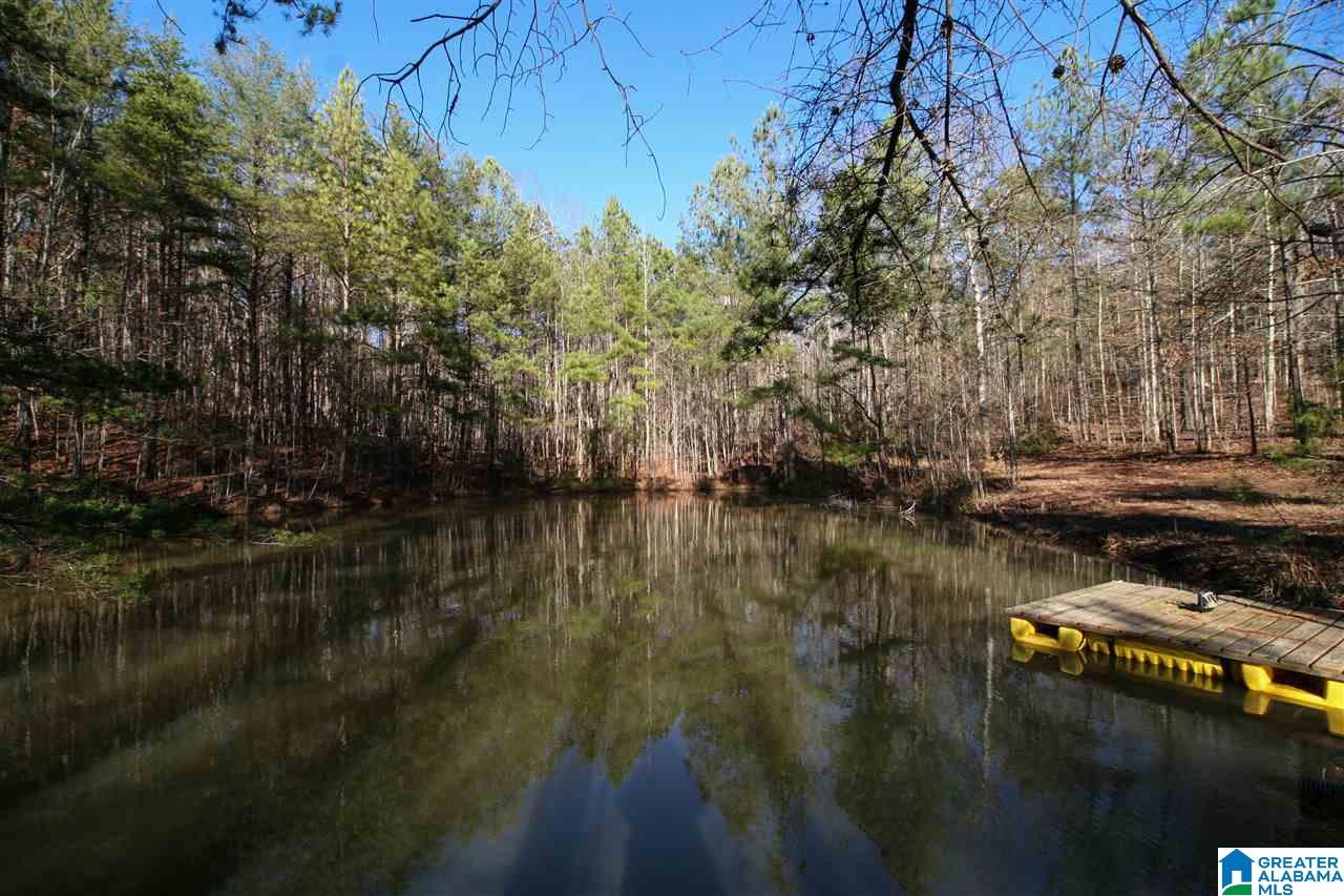 3364 County Road 329 Wedowee, AL 36278 - Photo 37 of 39
