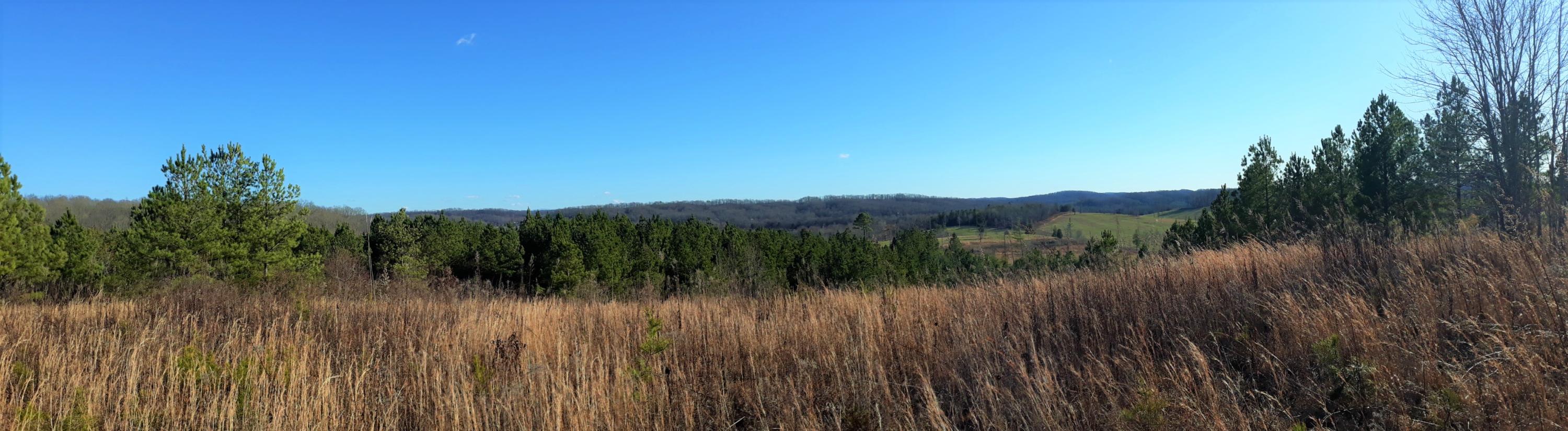Ten Mile Tn 37880 Road Philadelphia, TN 37846 - Photo 2 of 27 20200107_150440