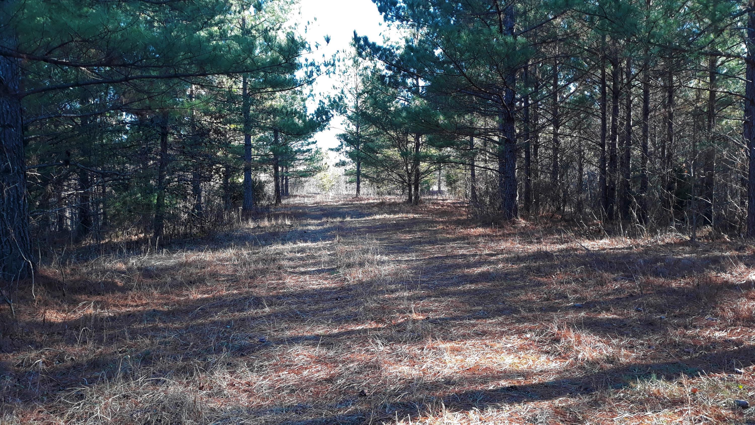 Ten Mile Tn 37880 Road Philadelphia, TN 37846 - Photo 20 of 27 20200107_152522
