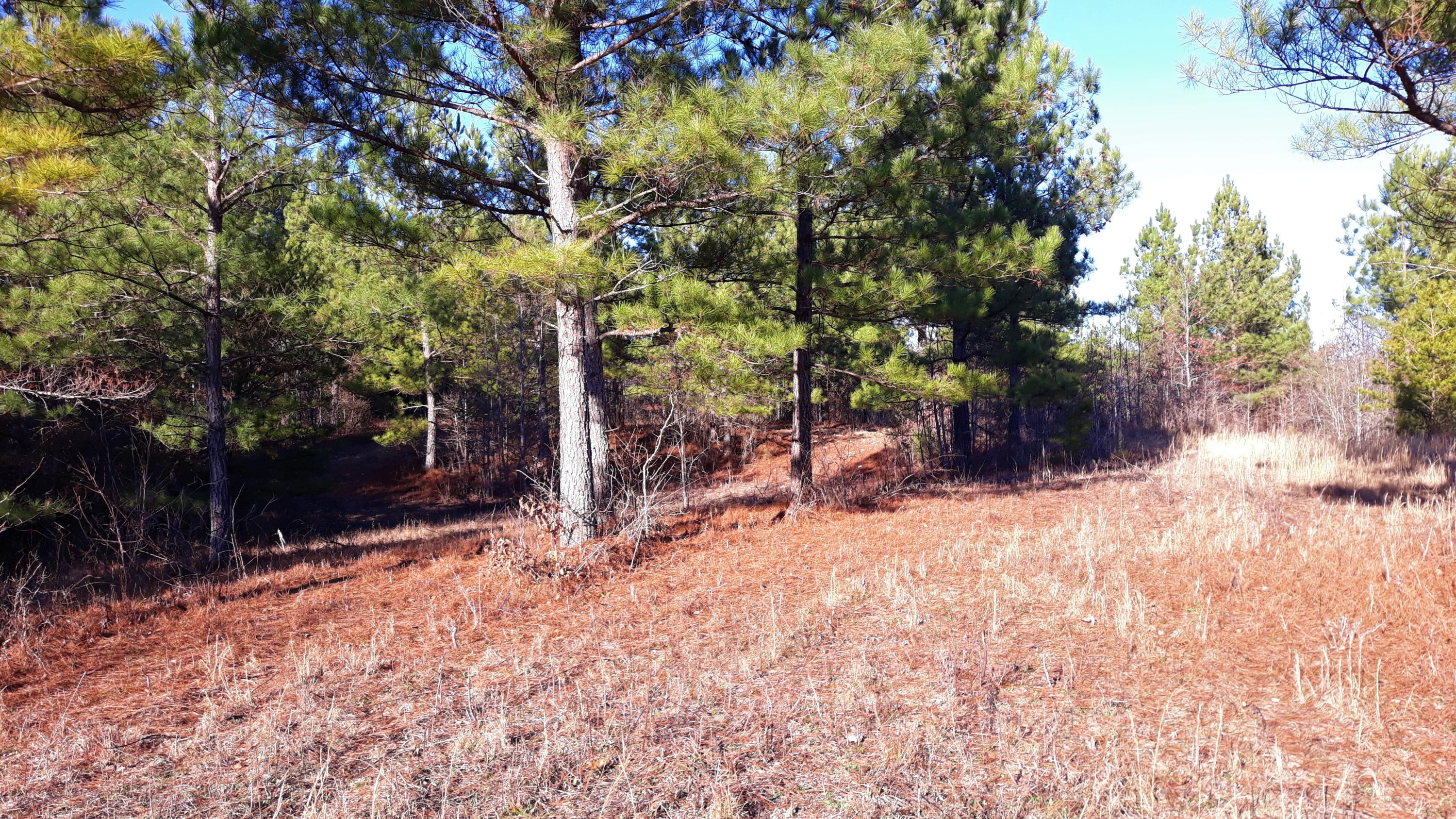 Ten Mile Tn 37880 Road Philadelphia, TN 37846 - Photo 21 of 27 20200107_152744