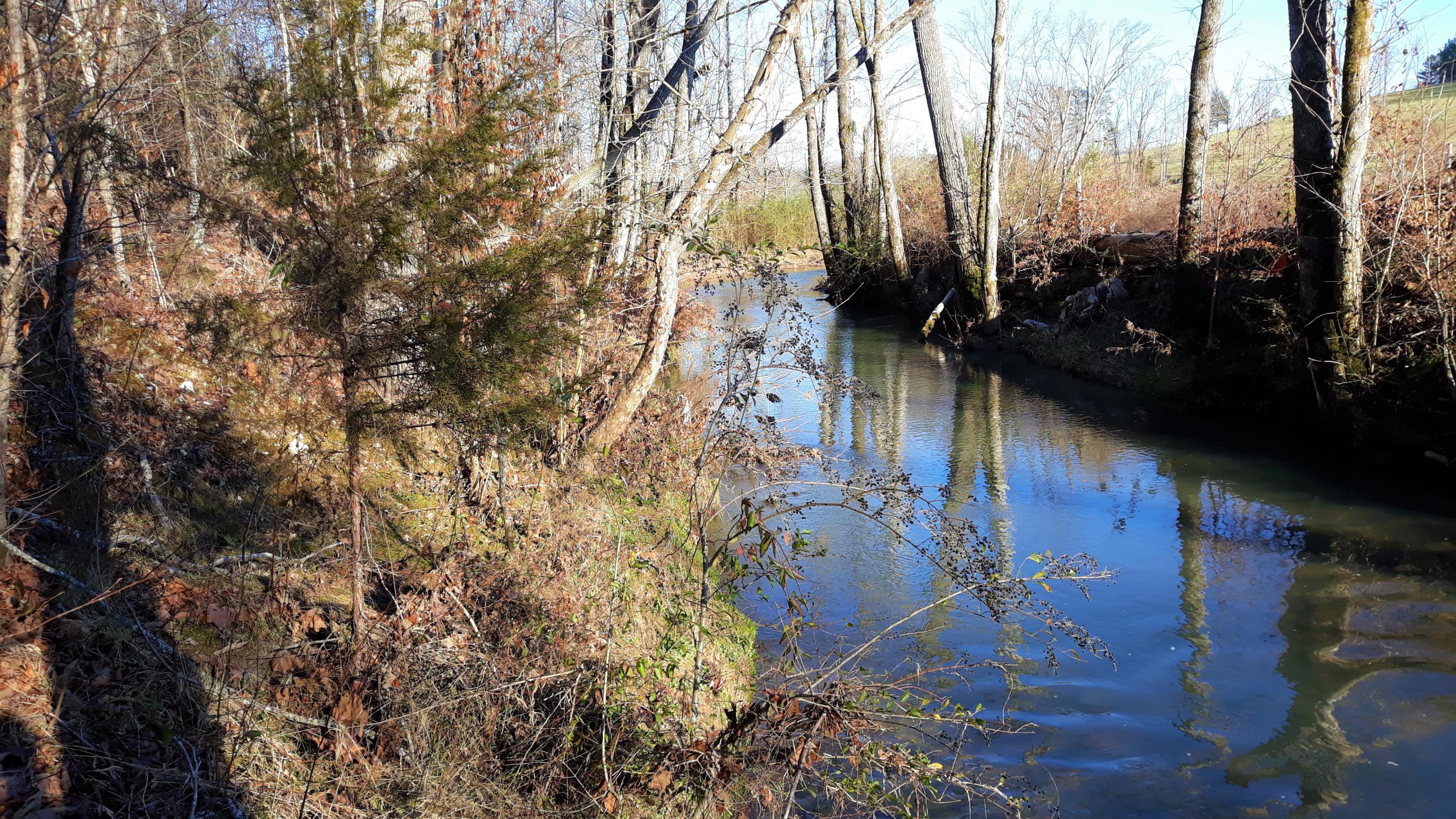Ten Mile Tn 37880 Road Philadelphia, TN 37846 - Photo 25 of 27 20200107_154316