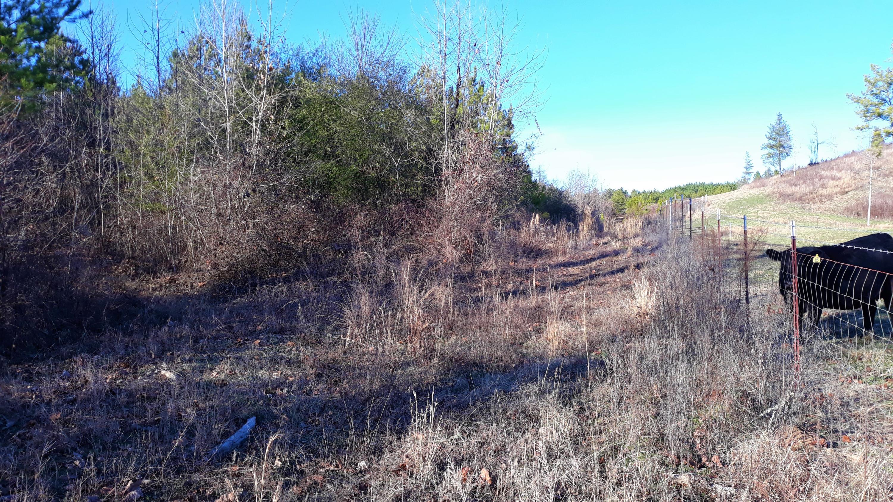 Ten Mile Tn 37880 Road Philadelphia, TN 37846 - Photo 27 of 27 20200107_154743