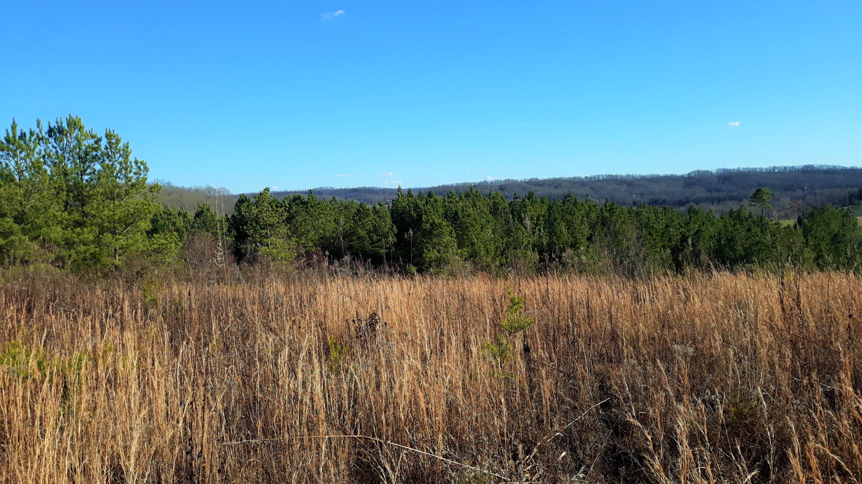 Ten Mile Tn 37880 Road Philadelphia, TN 37846 - Photo 5 of 27 20200107_150505