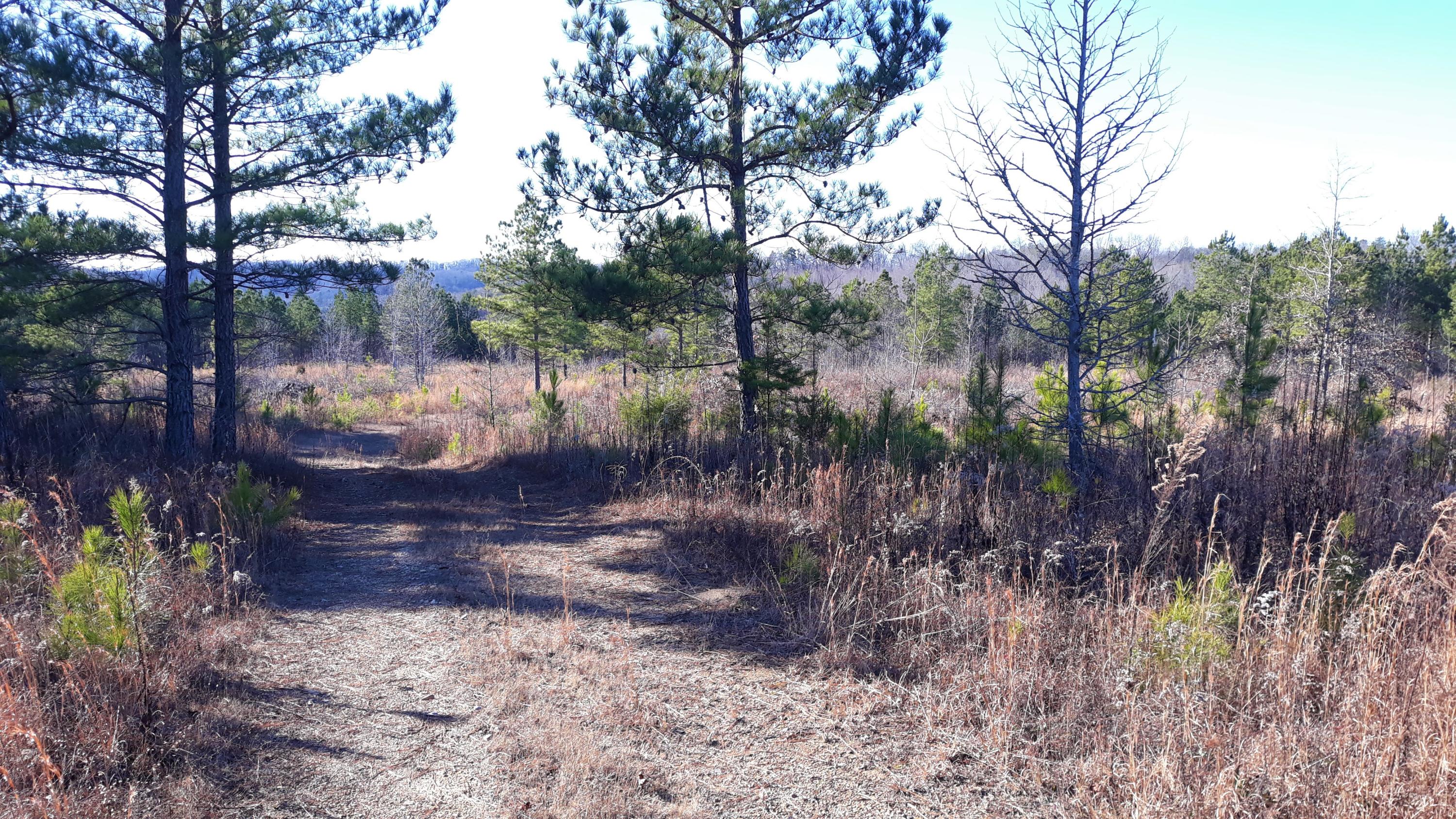 Ten Mile Tn 37880 Road Philadelphia, TN 37846 - Photo 8 of 27 20200107_150555