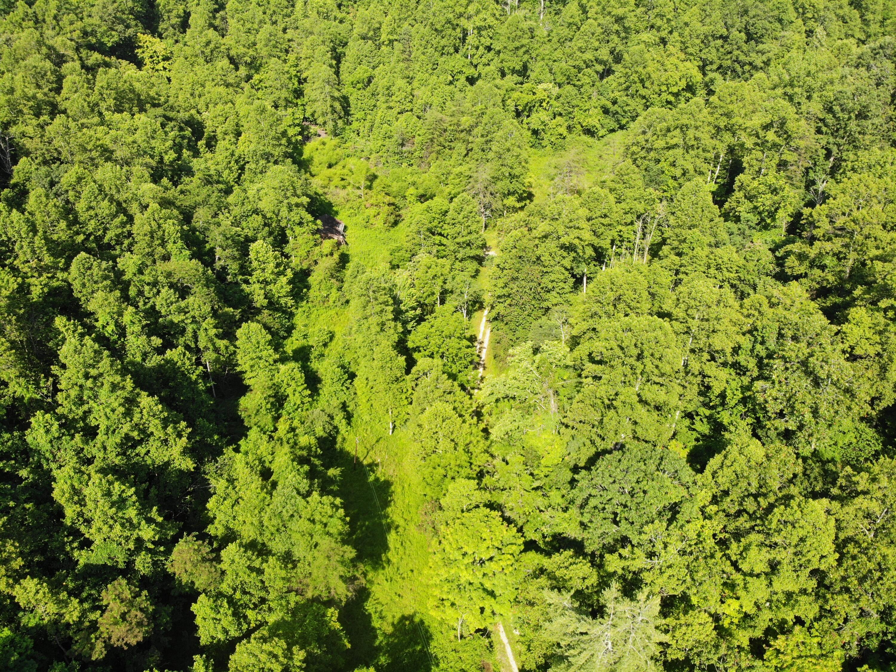 768 Clinton Stiltner Road Frenchburg, KY 40322 - Photo 2 of 19 DJI_0115