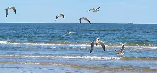 $610,000 | 114 Sand Dune Court, Surfside Beach, TX 77541