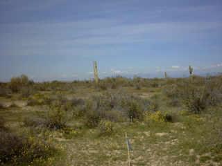 4 North Quail Run Road Florence, AZ 85132 - Photo 4 of 5 Additional Photo