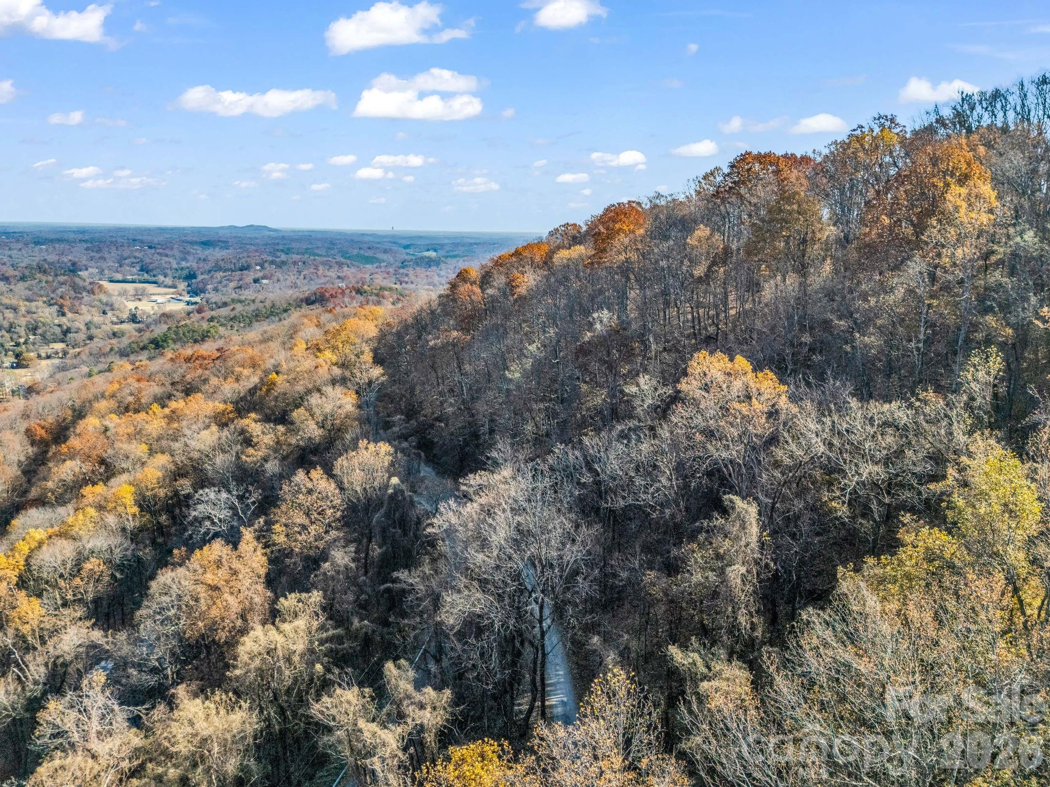 9999 Country Club Road Tryon, NC 28782 - Photo 11 of 31