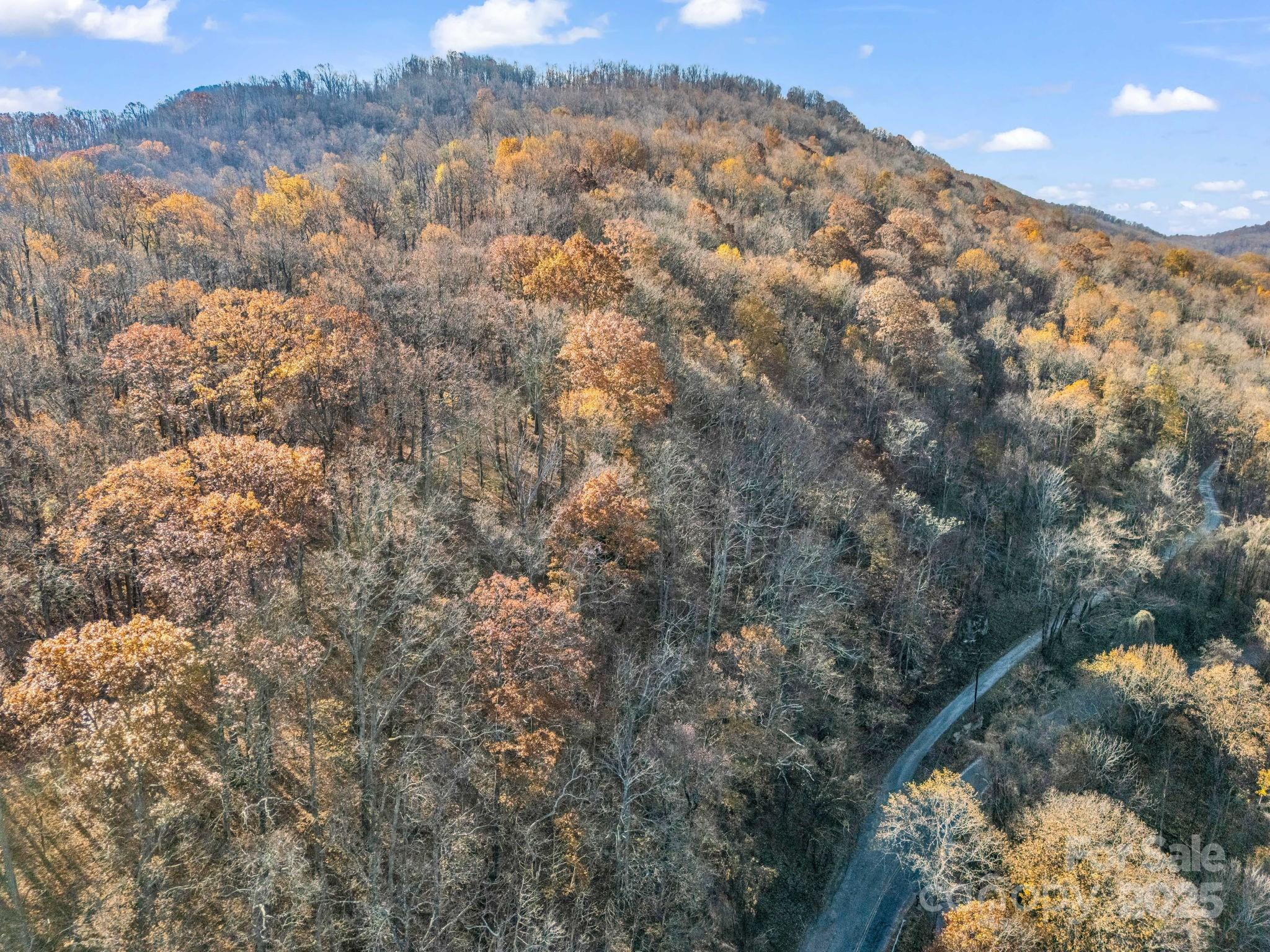 9999 Country Club Road Tryon, NC 28782 - Photo 12 of 31 a view of a forest that has a tree in the background