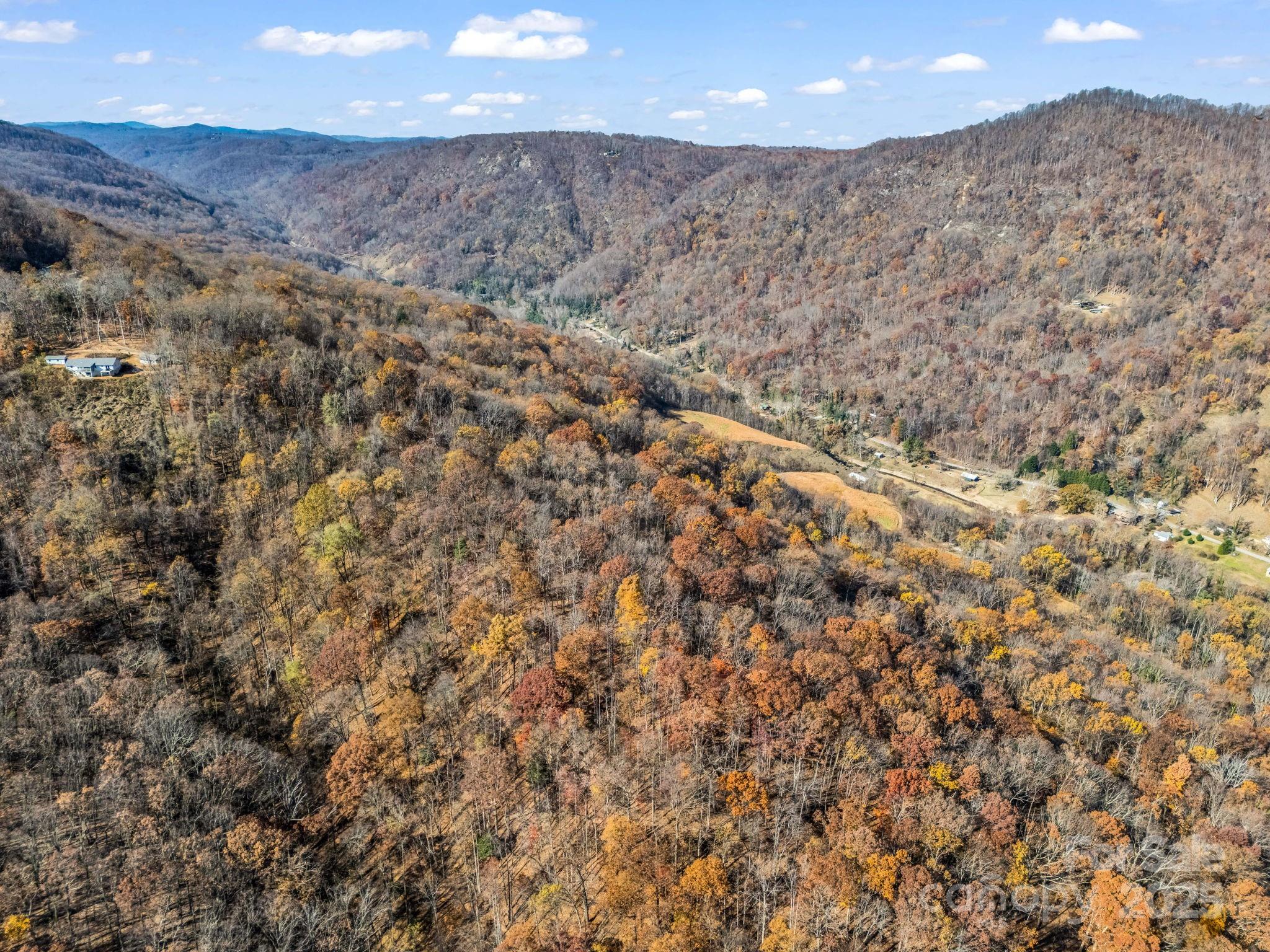 9999 Country Club Road Tryon, NC 28782 - Photo 13 of 31 a view of a dry yard with mountains in the background