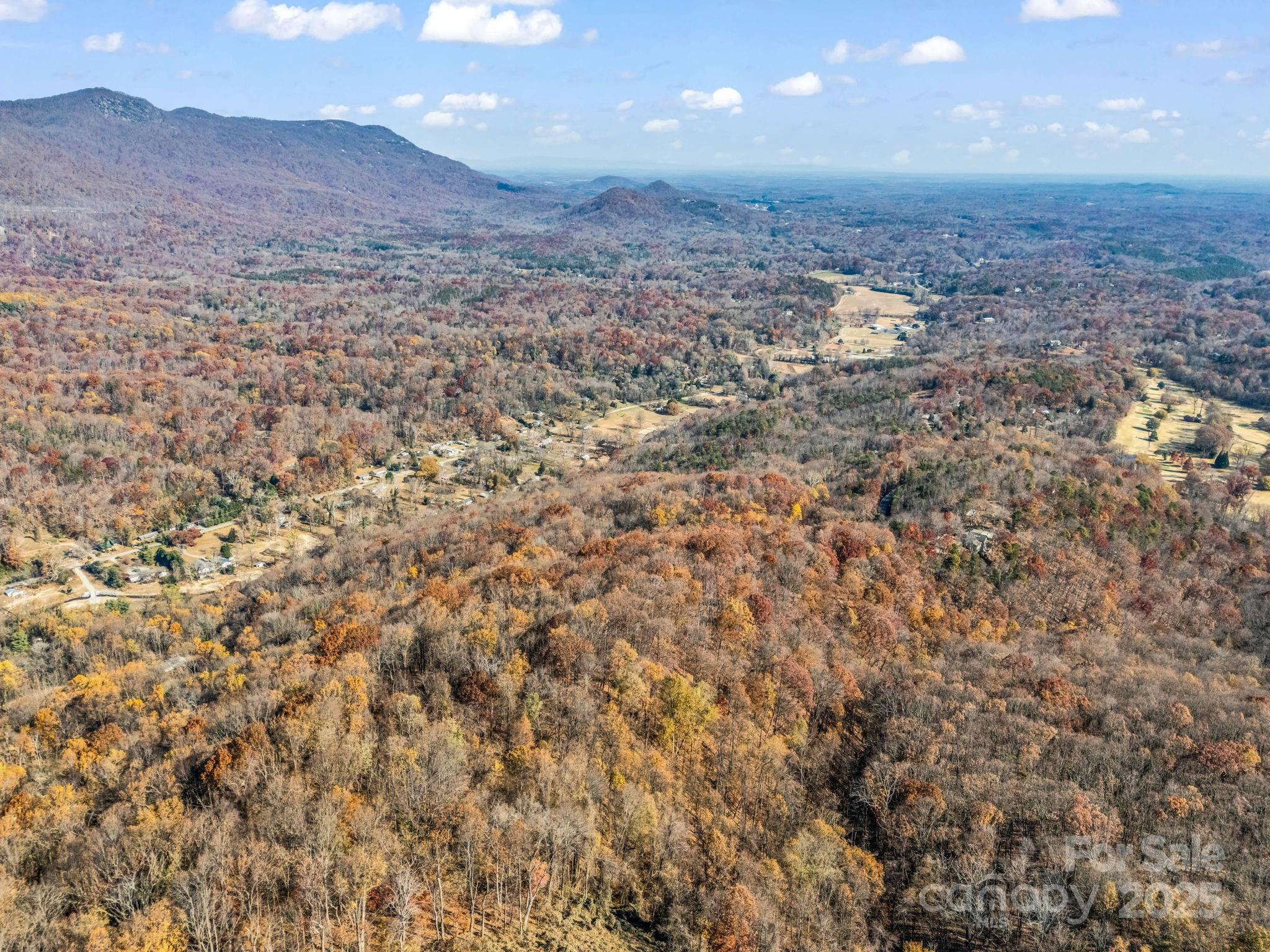 9999 Country Club Road Tryon, NC 28782 - Photo 16 of 31 a view of a dry yard and mountain