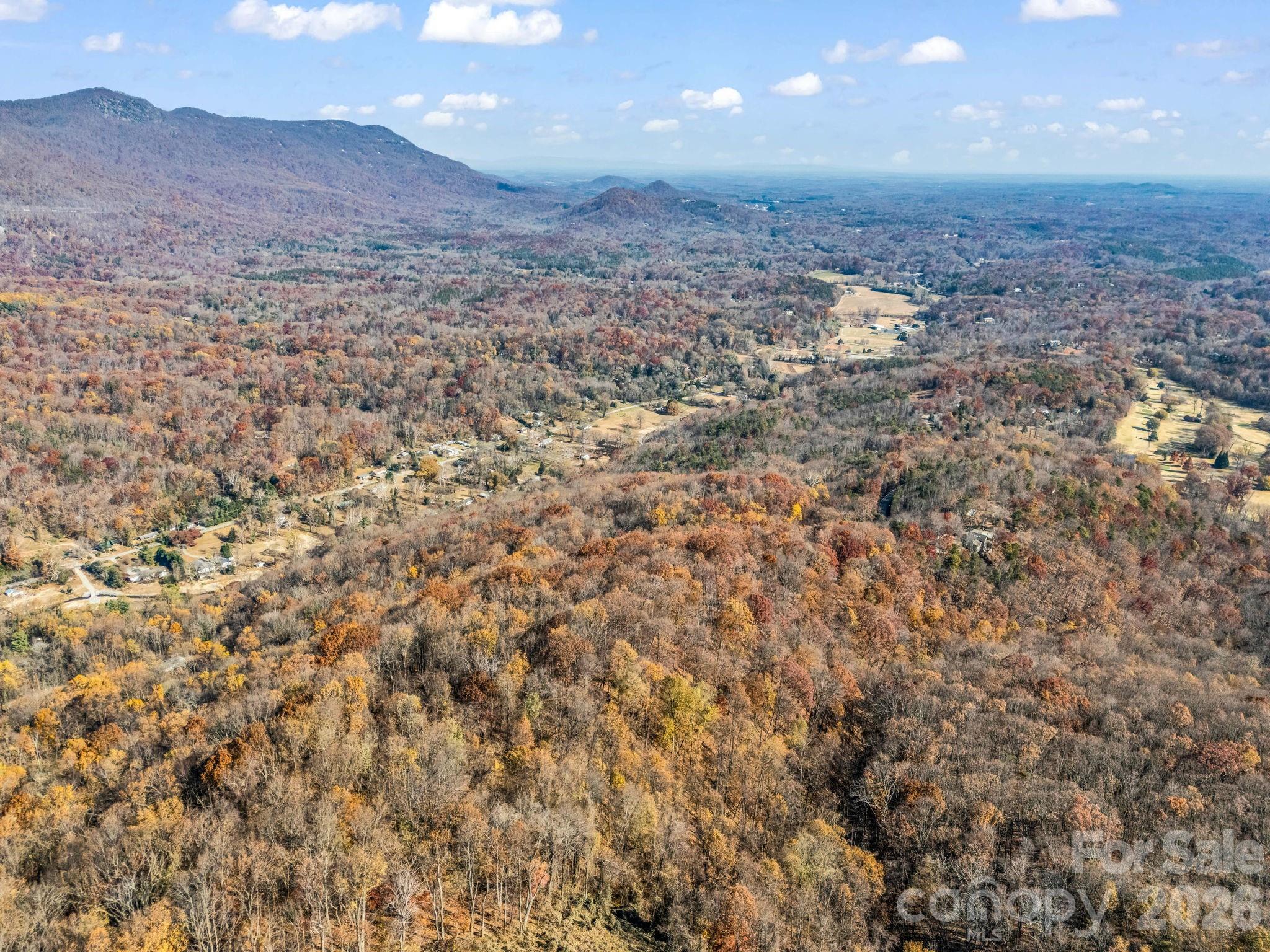 9999 Country Club Road Tryon, NC 28782 - Photo 16 of 31