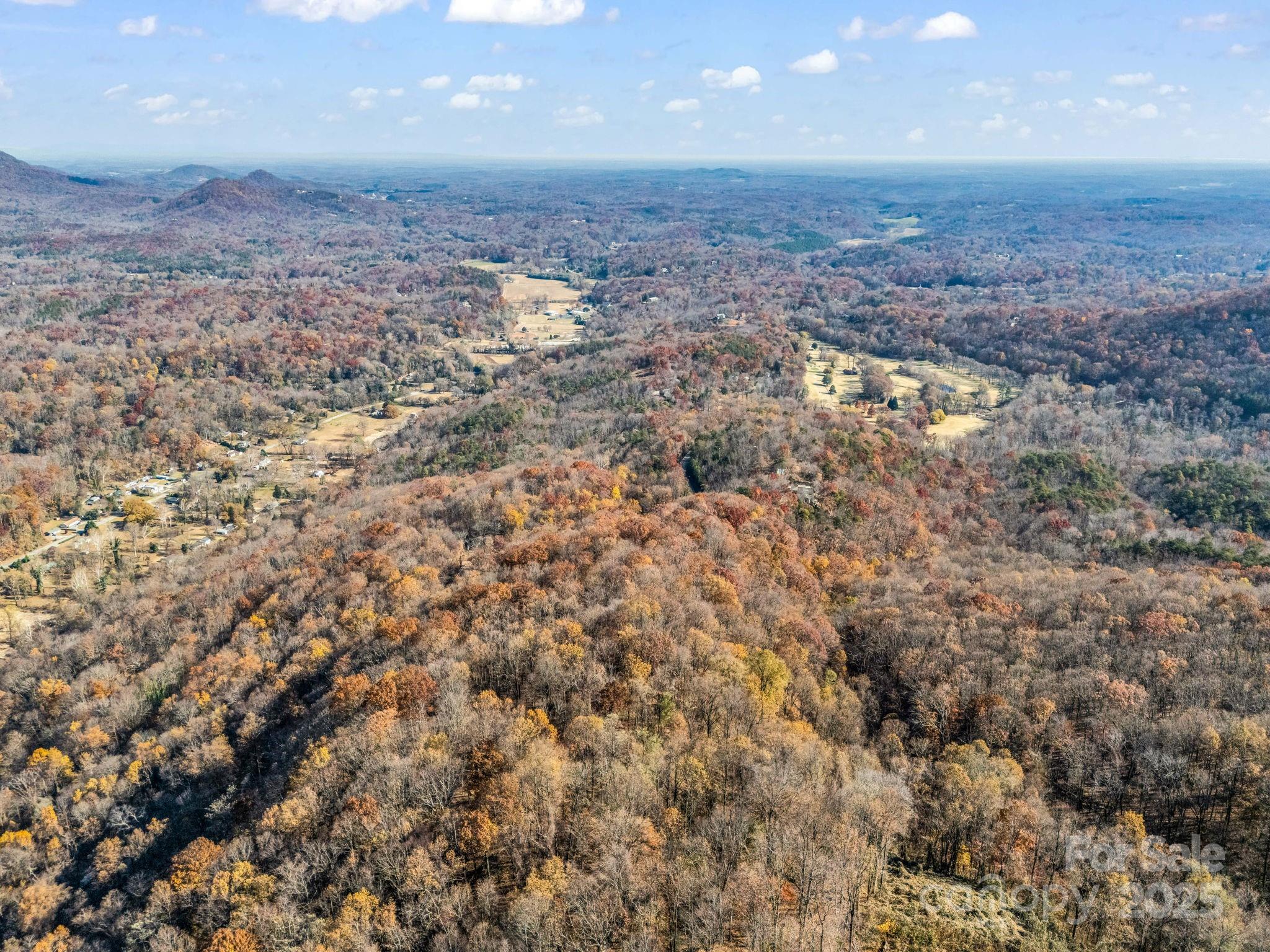 9999 Country Club Road Tryon, NC 28782 - Photo 17 of 31 a view of a dry yard