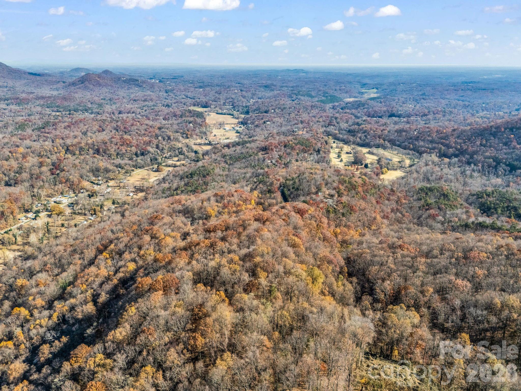 9999 Country Club Road Tryon, NC 28782 - Photo 17 of 31