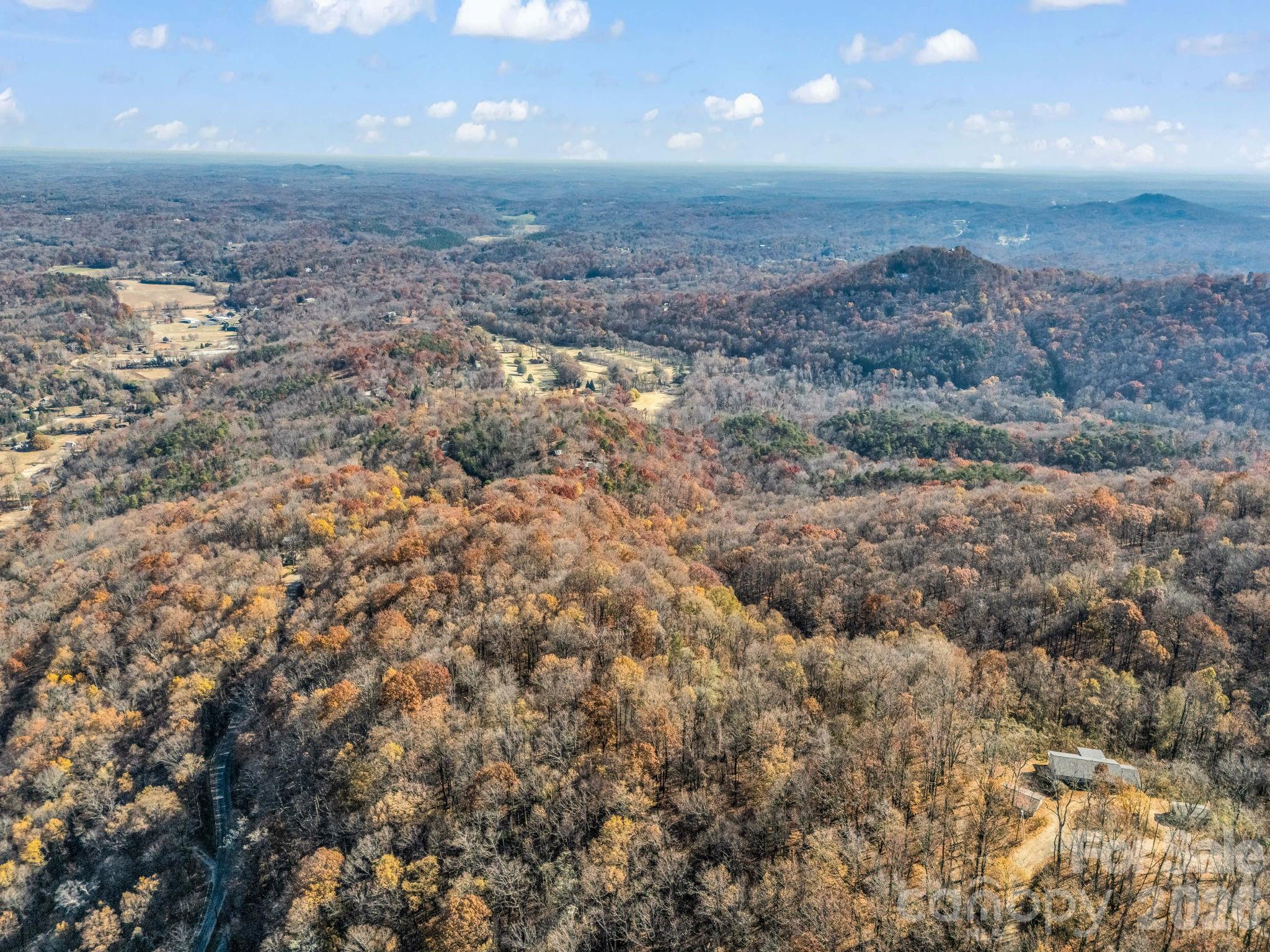 9999 Country Club Road Tryon, NC 28782 - Photo 18 of 31