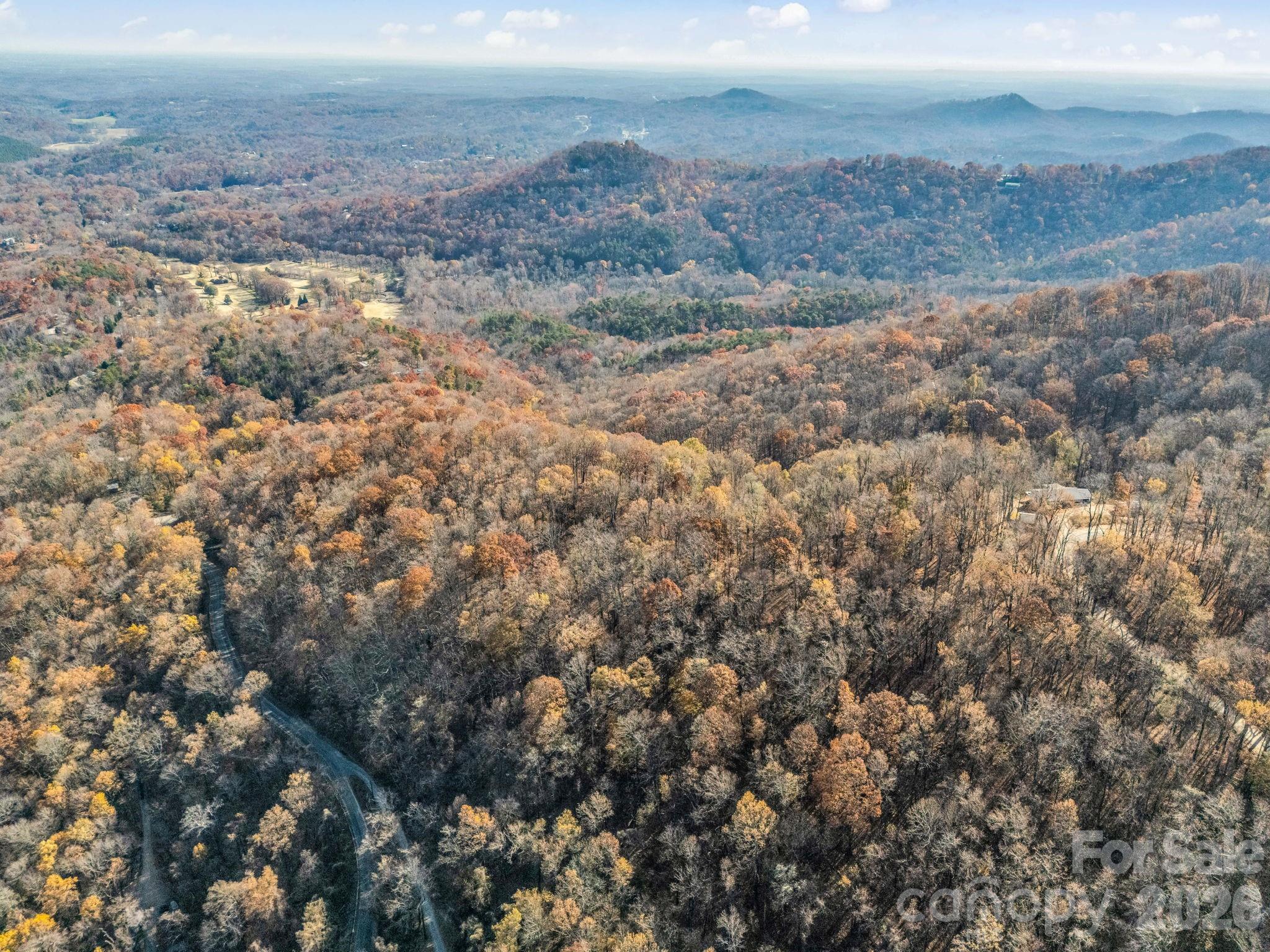 9999 Country Club Road Tryon, NC 28782 - Photo 19 of 31