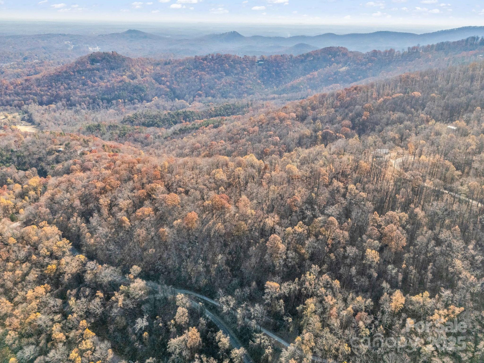 9999 Country Club Road Tryon, NC 28782 - Photo 20 of 31 a view of a dry yard