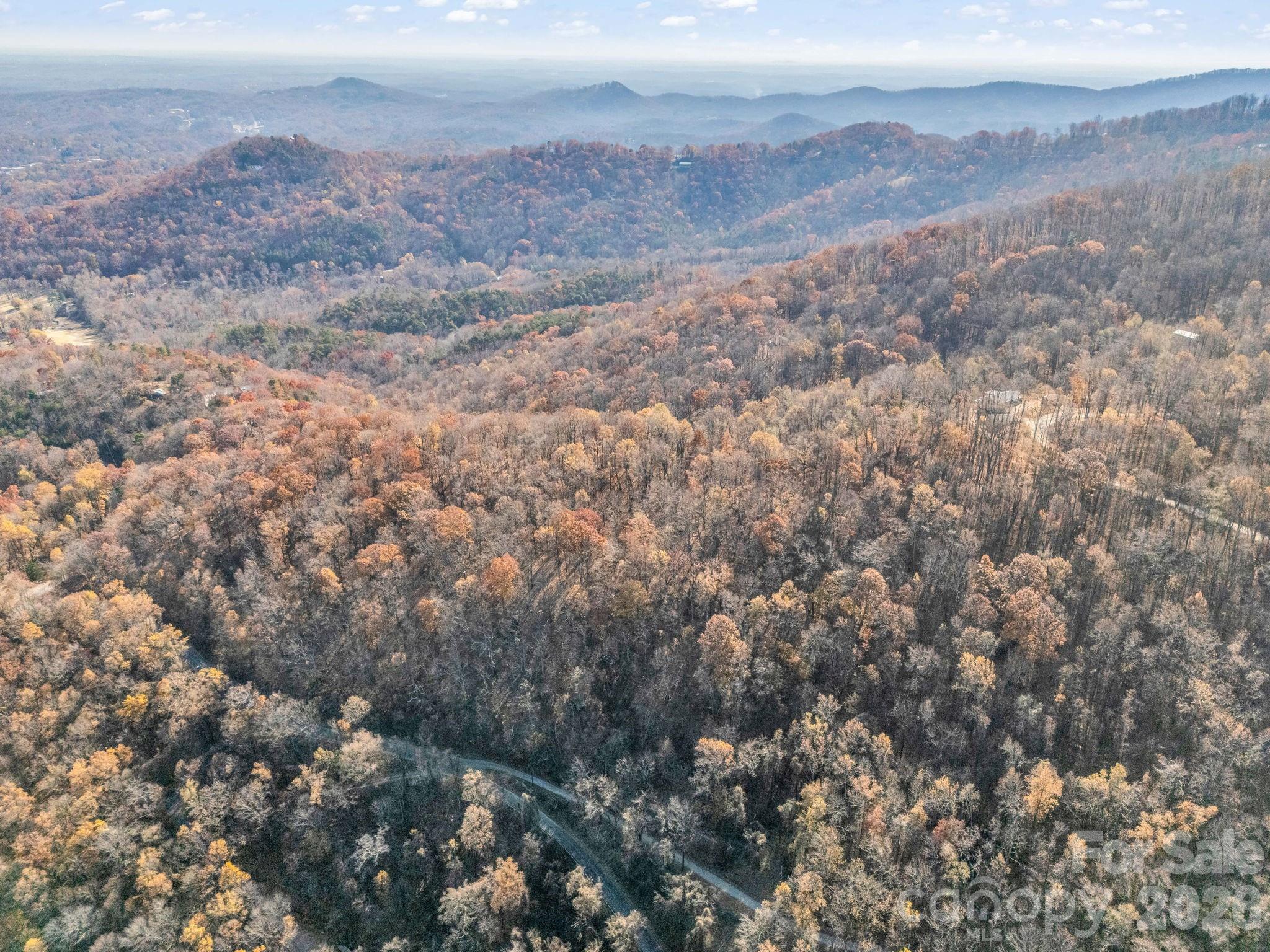 9999 Country Club Road Tryon, NC 28782 - Photo 20 of 31