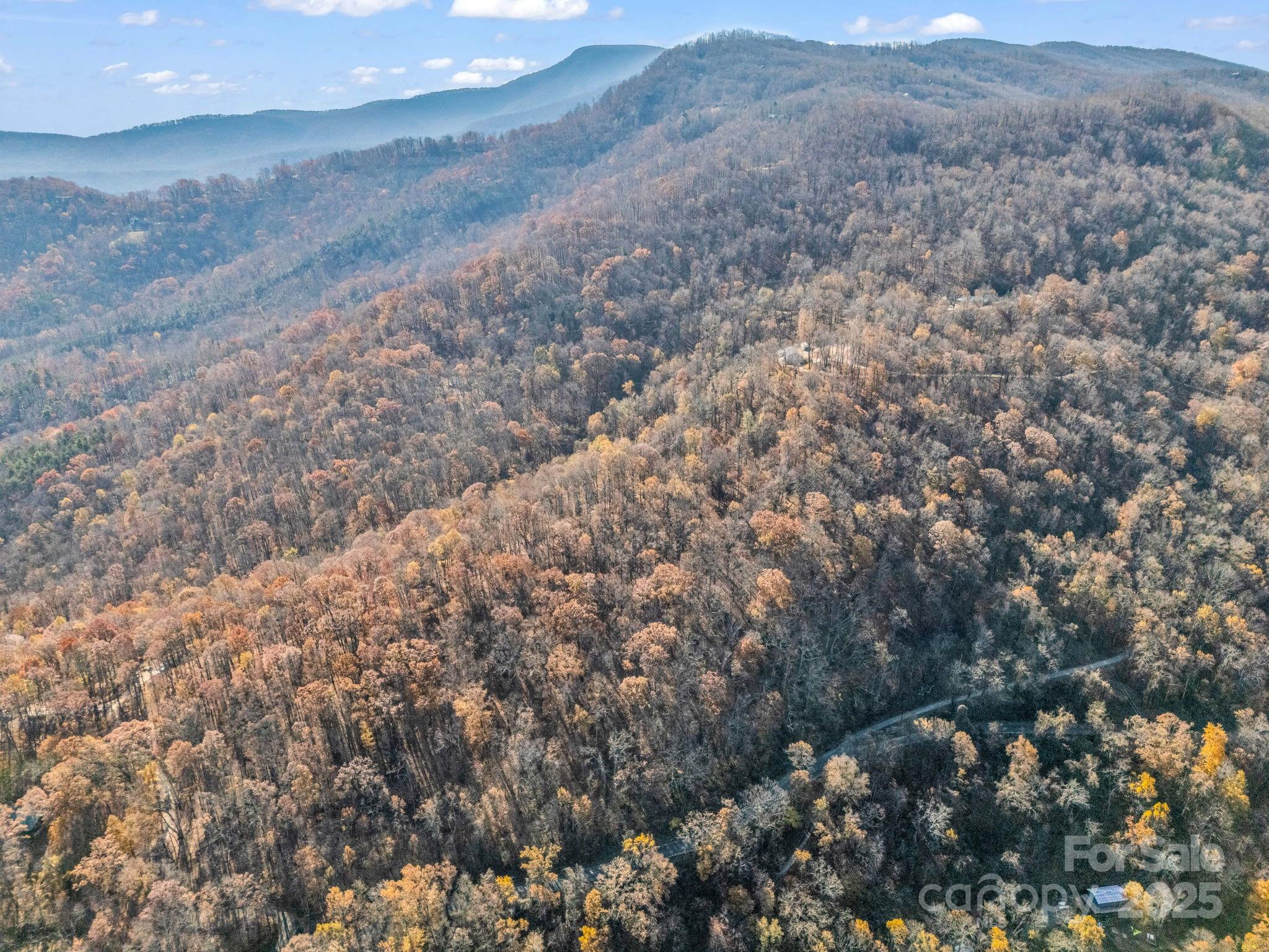 9999 Country Club Road Tryon, NC 28782 - Photo 22 of 31 a view of a dry yard with mountains and green space