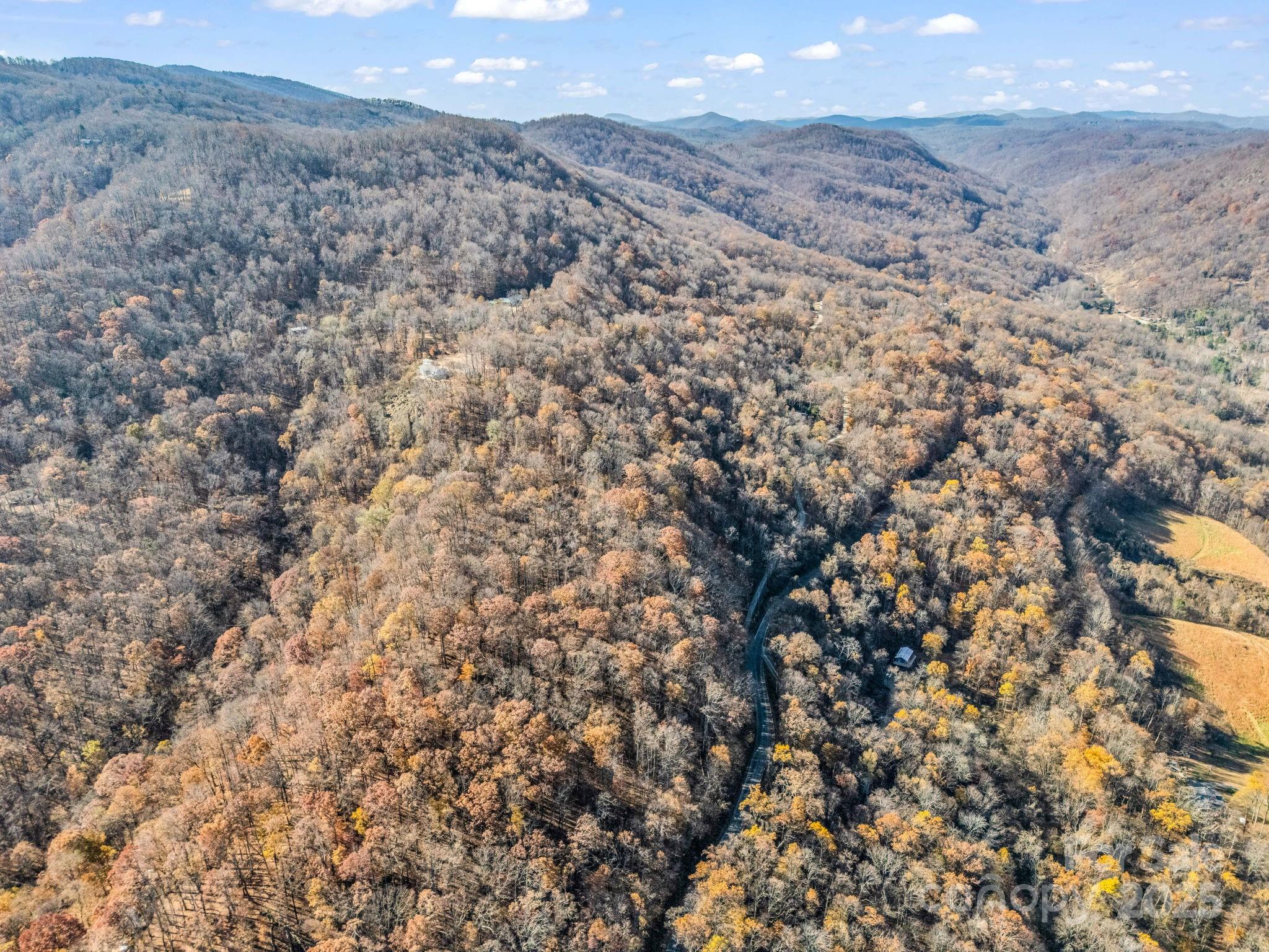 9999 Country Club Road Tryon, NC 28782 - Photo 24 of 31 a view of a dry yard
