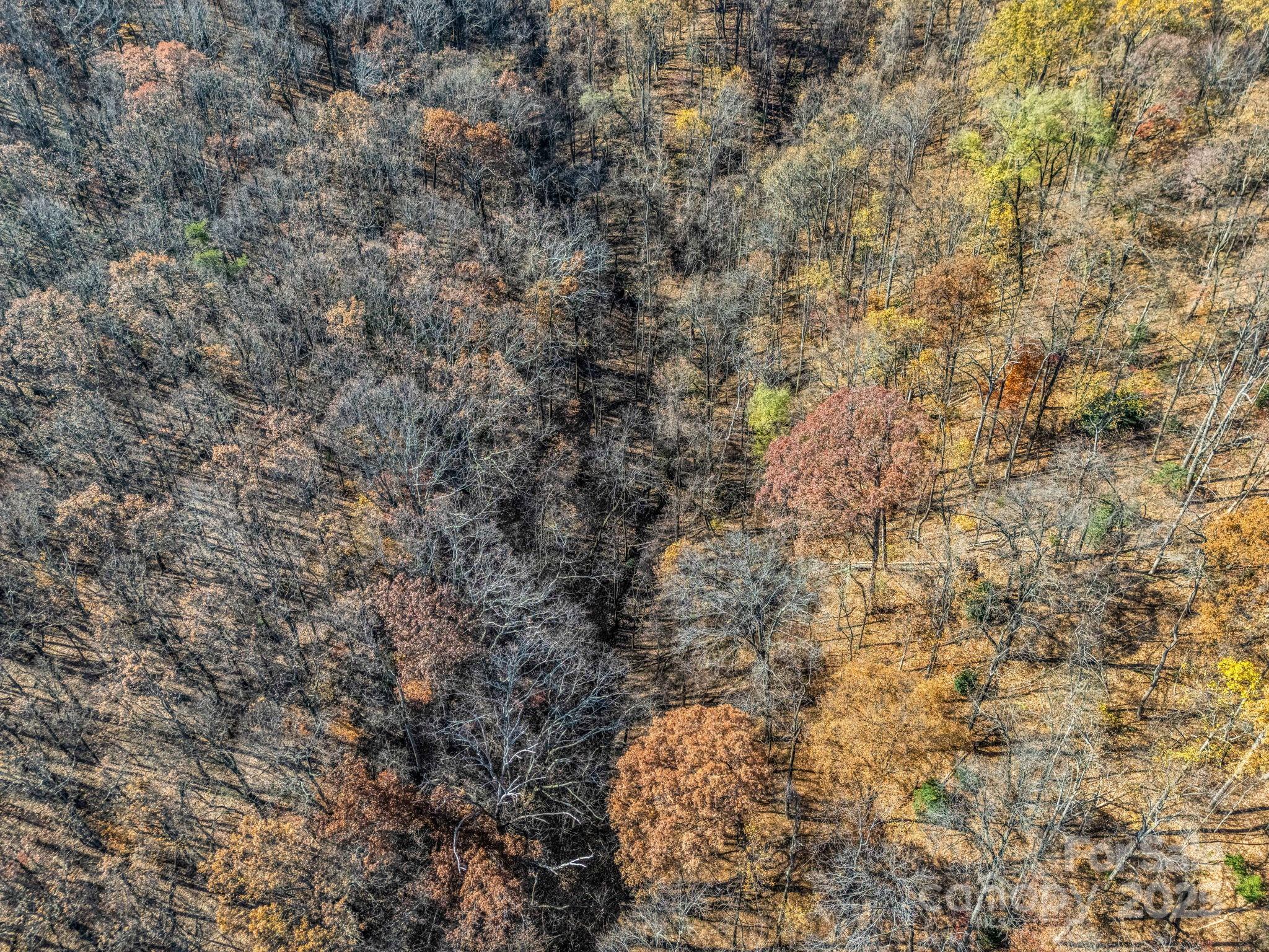 9999 Country Club Road Tryon, NC 28782 - Photo 25 of 31