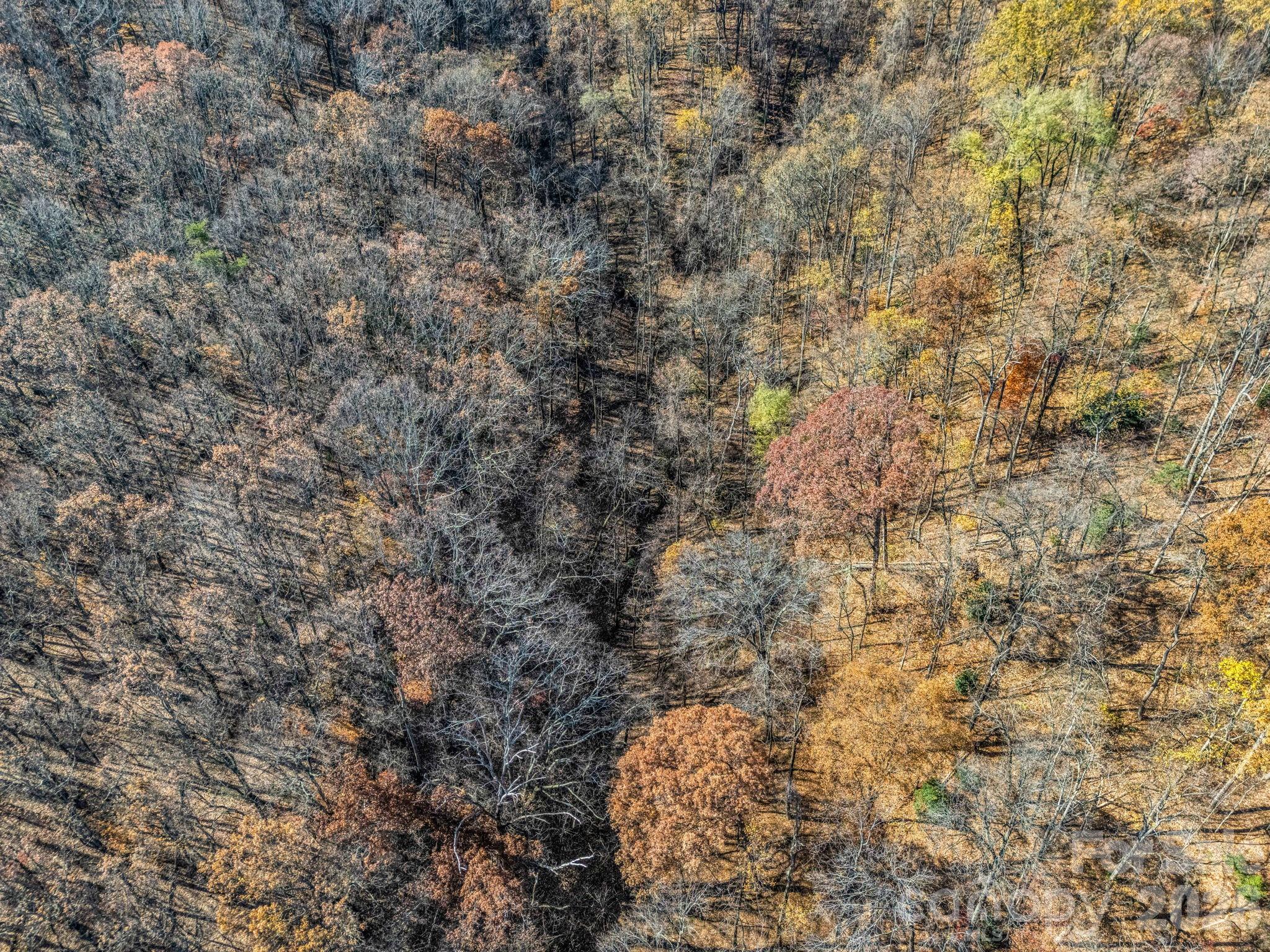 9999 Country Club Road Tryon, NC 28782 - Photo 25 of 31